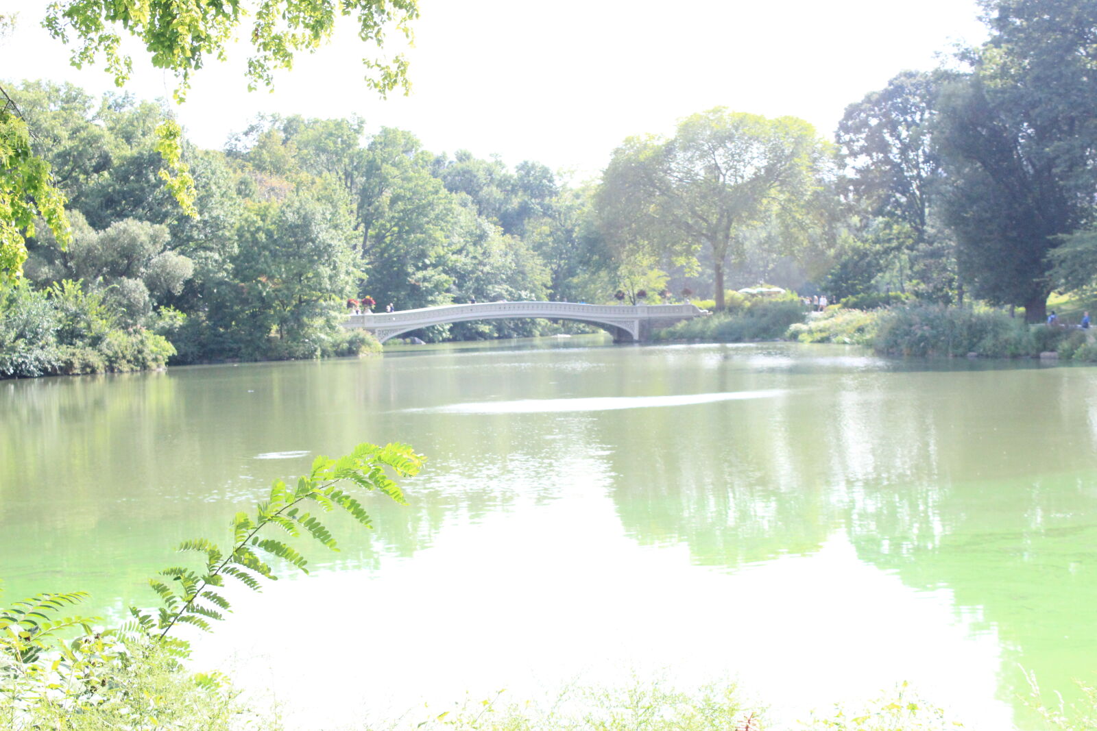 Canon EOS 600D (Rebel EOS T3i / EOS Kiss X5) sample photo. Central, park, lake, pond photography