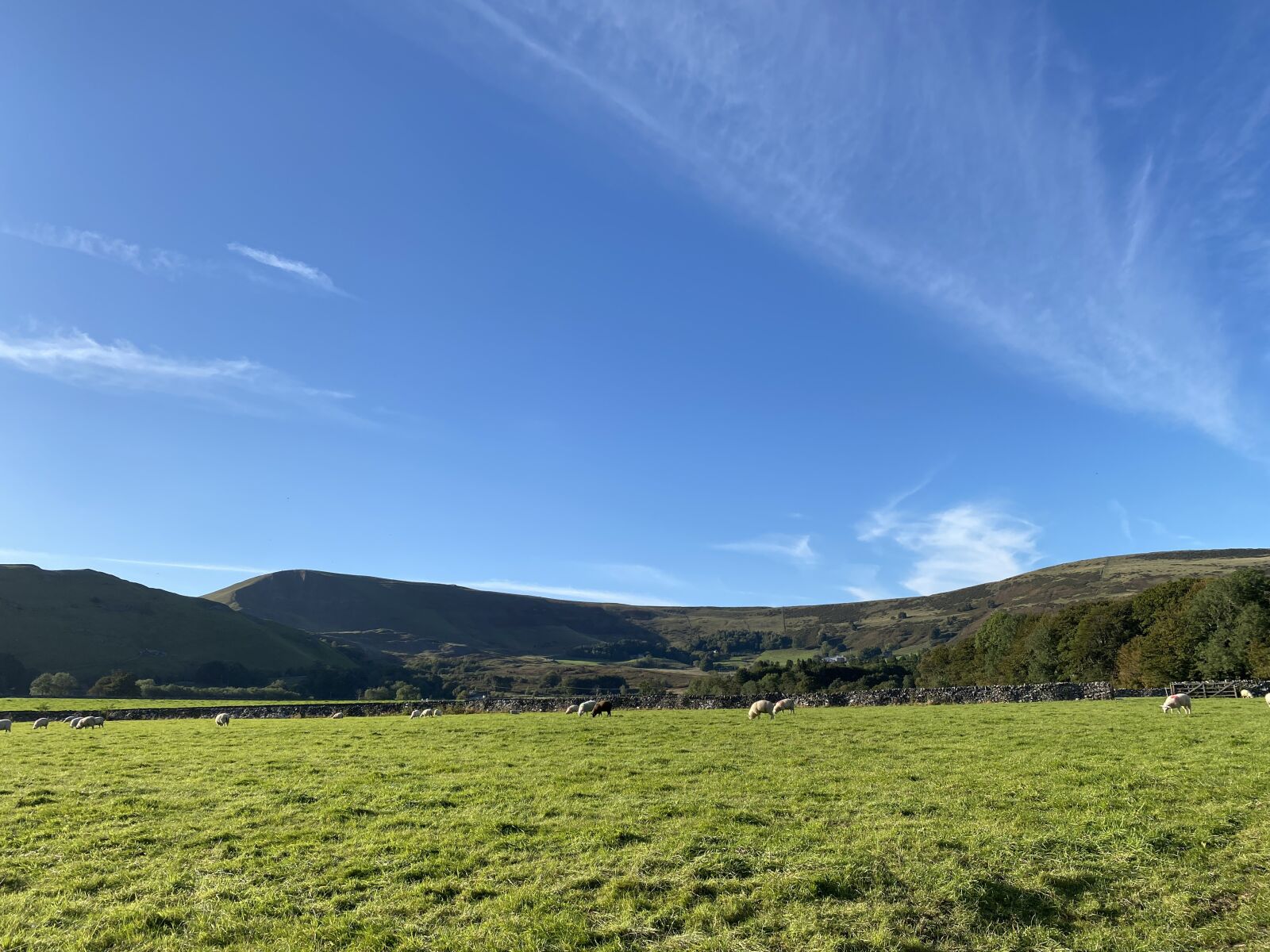 Apple iPhone 11 sample photo. Nature, hiking, peak district photography