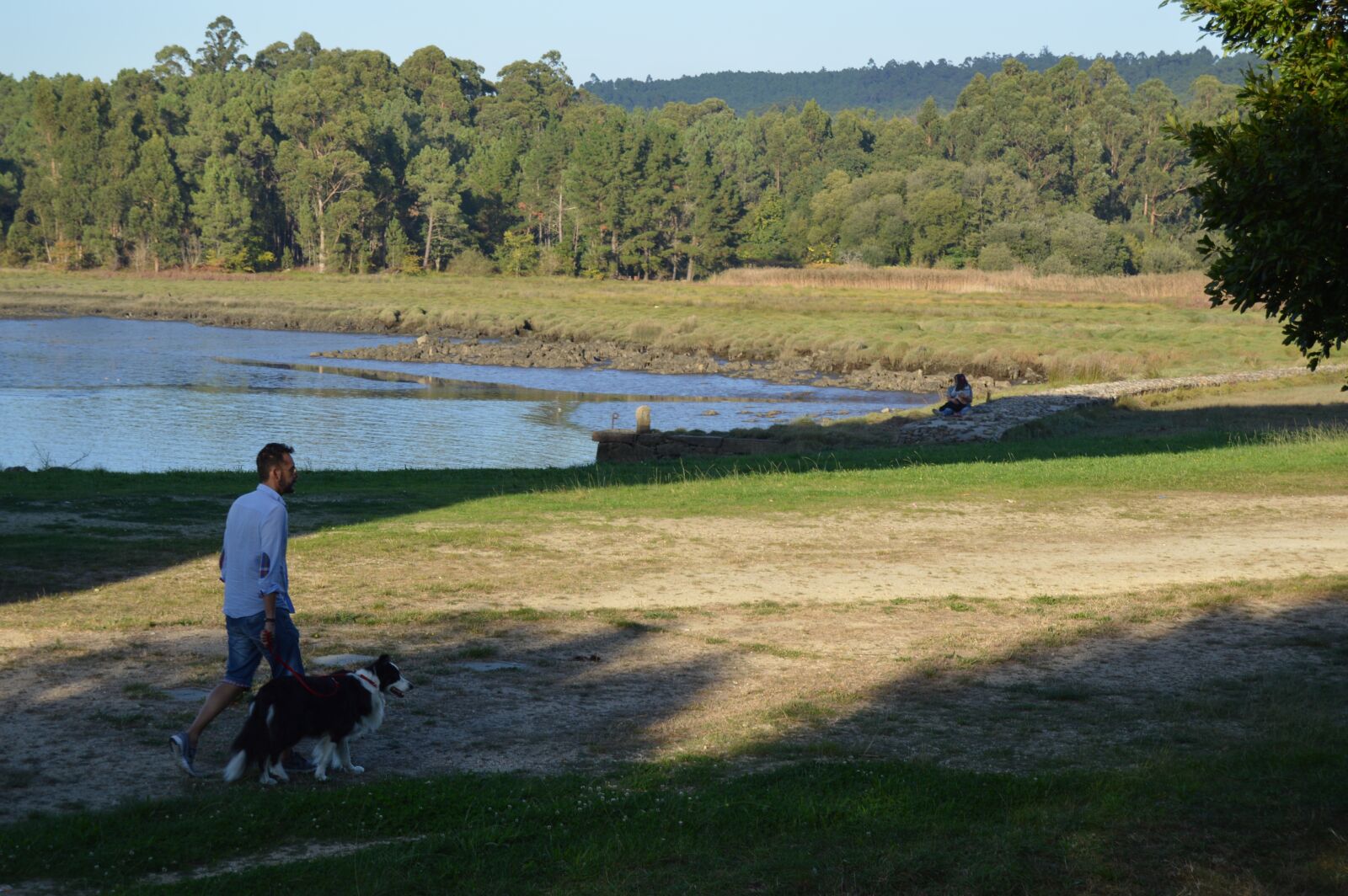 Nikon D3200 sample photo. Galicia, border collie, walk photography