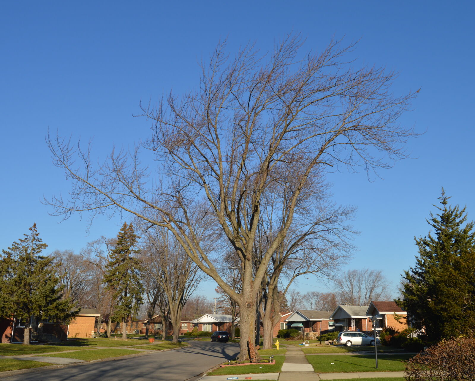 Nikon D3200 sample photo