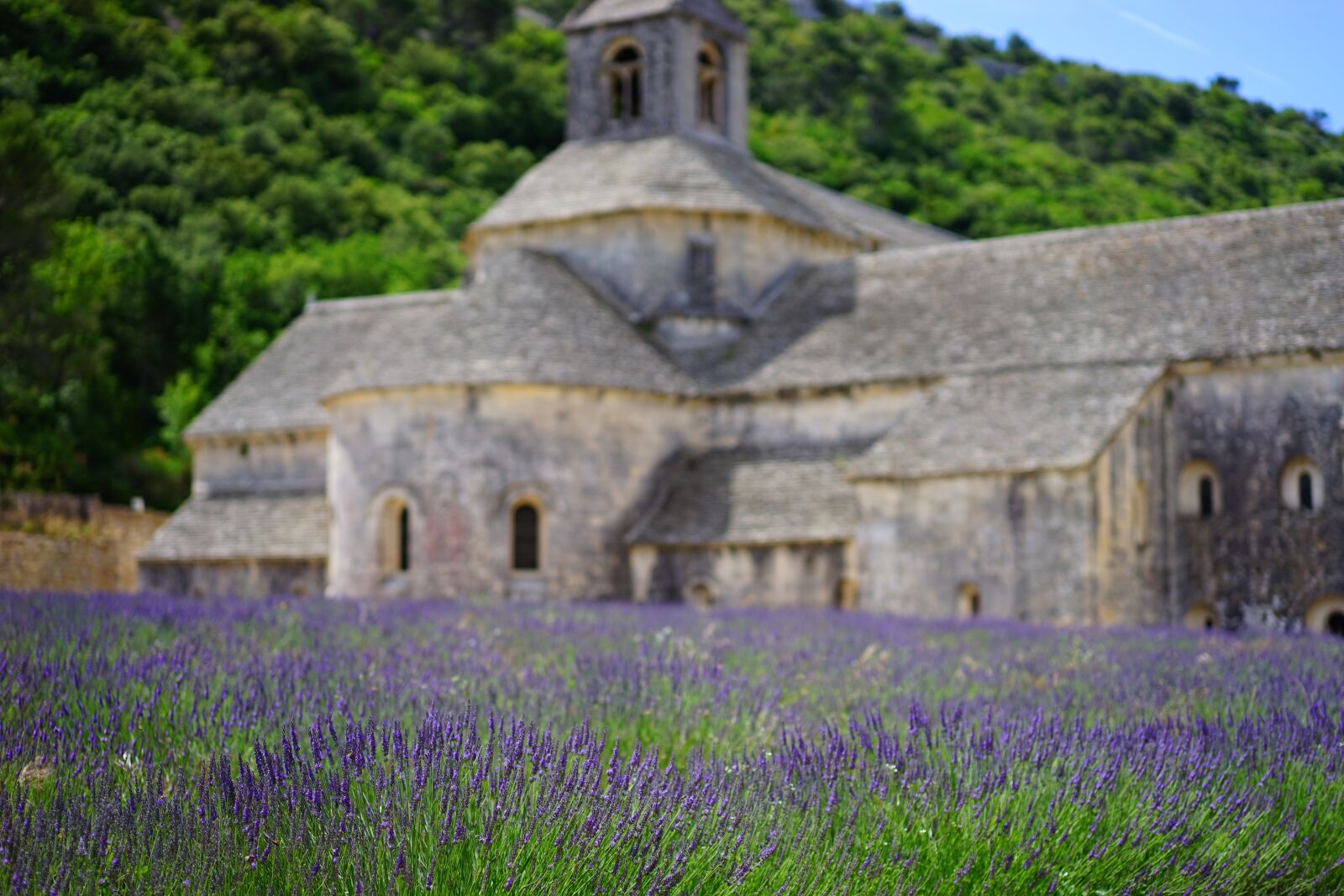 Sony a7 + Sony Sonnar T* FE 55mm F1.8 ZA sample photo. S nanque abbey, zisterzienser photography