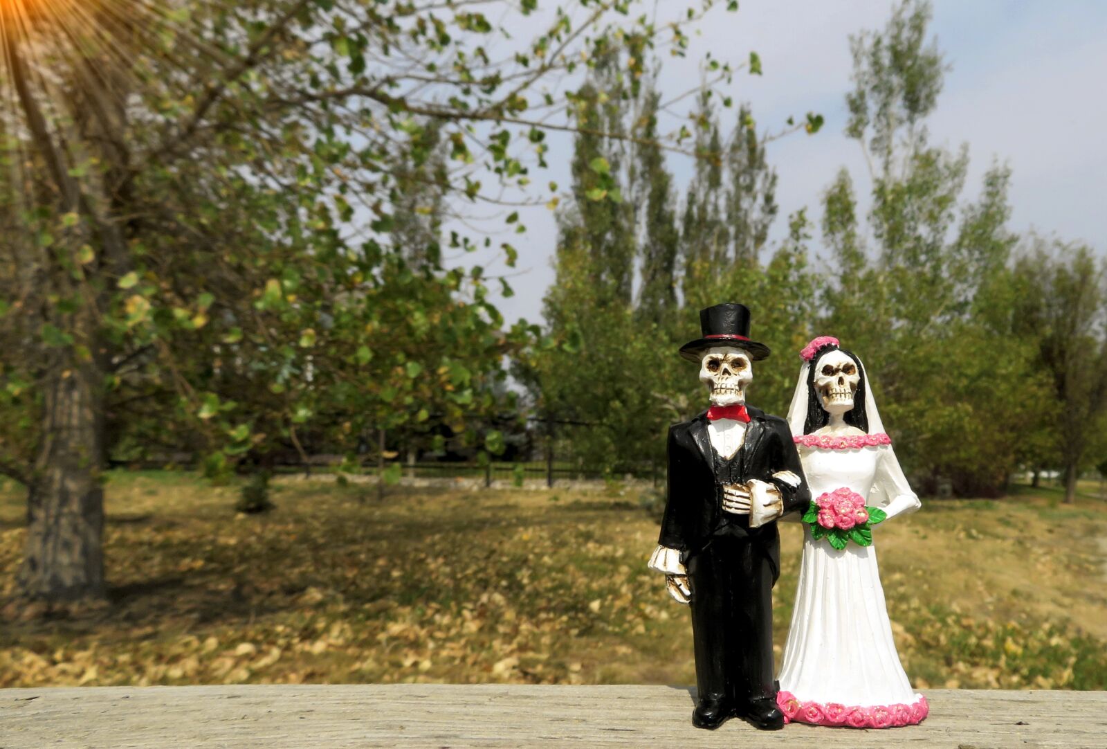 Canon PowerShot SX720 HS sample photo. Bride, groom, skeleton photography
