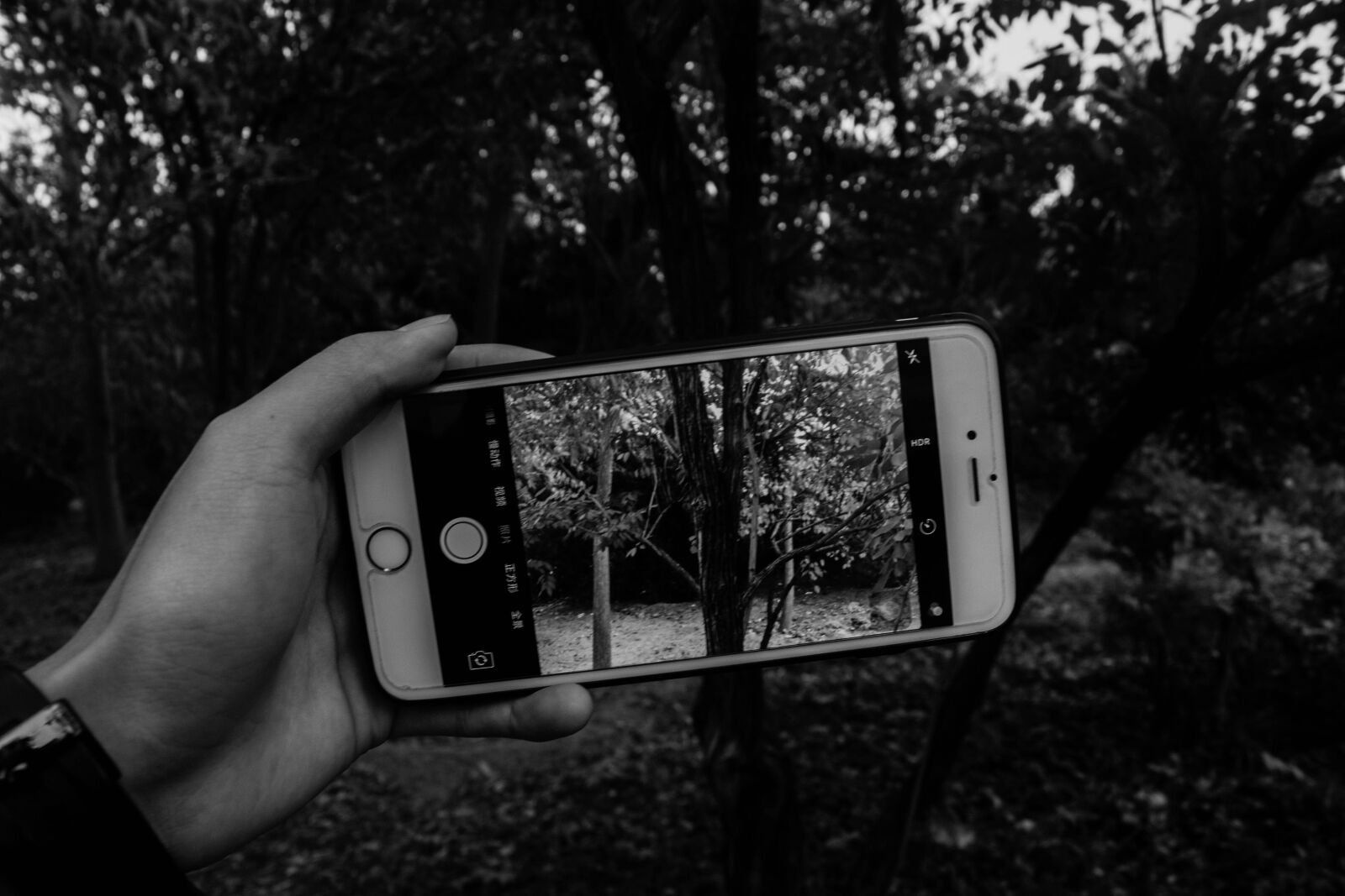 Canon EOS 700D (EOS Rebel T5i / EOS Kiss X7i) sample photo. Black and white, mobile photography