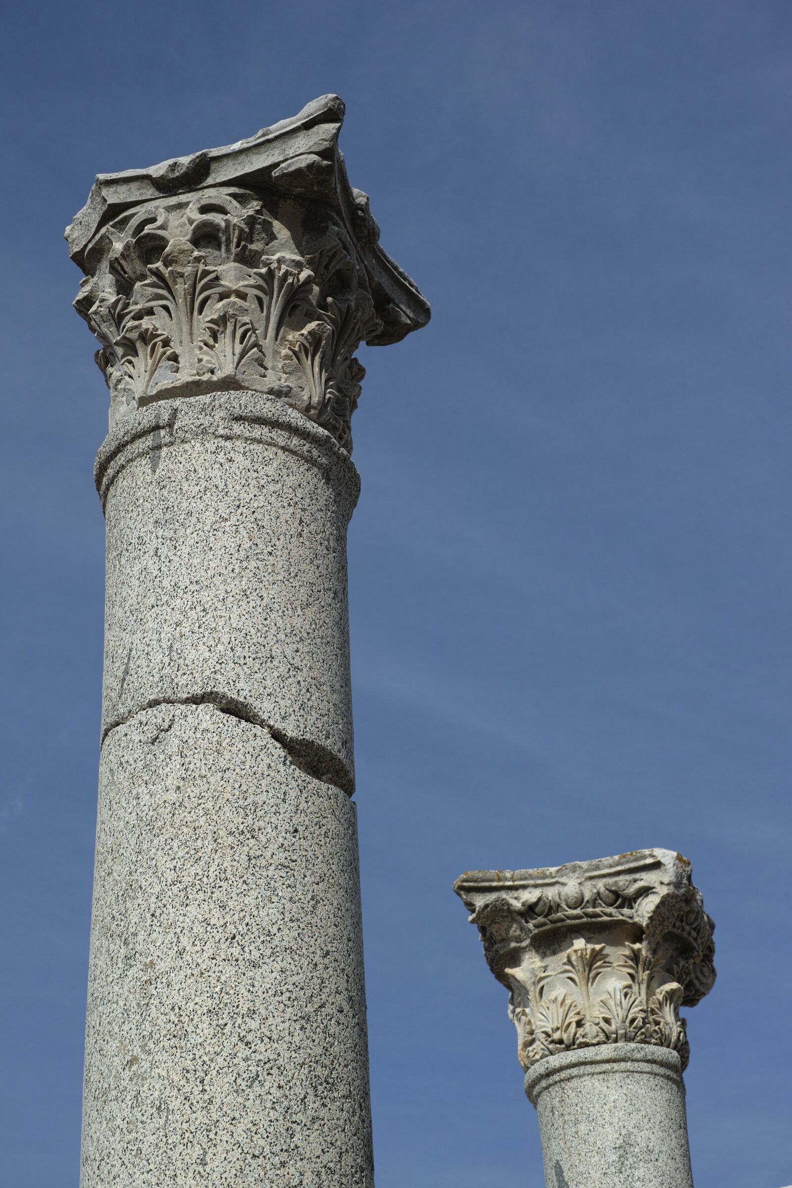 Sigma DP3 Merrill sample photo. Column, old, rome photography