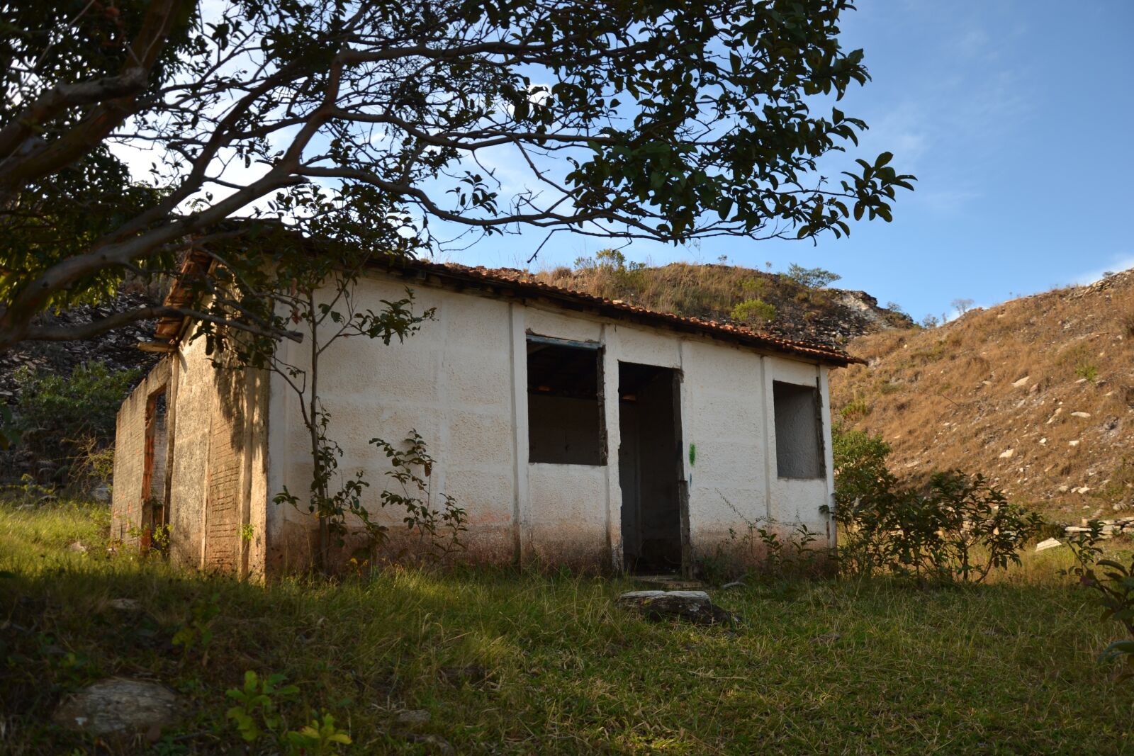Nikon D3100 sample photo. Home, nature, green photography