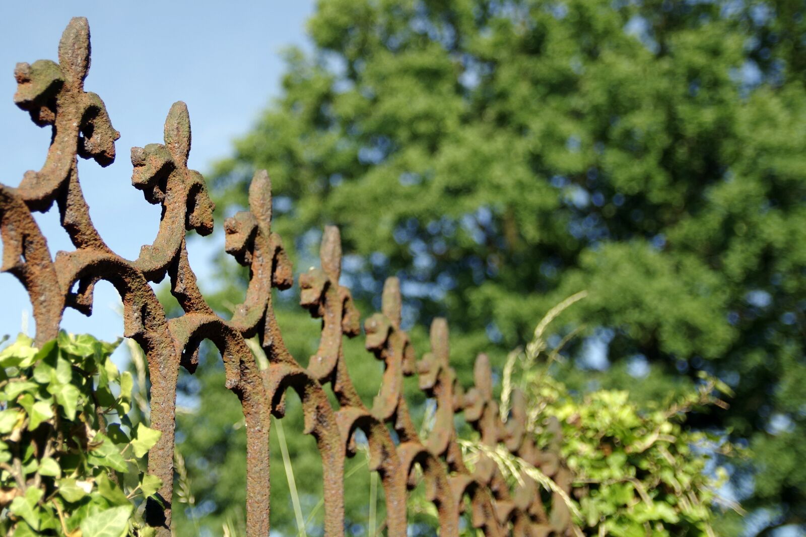 Pentax K-S2 sample photo. Fencing, accessory, the fence photography