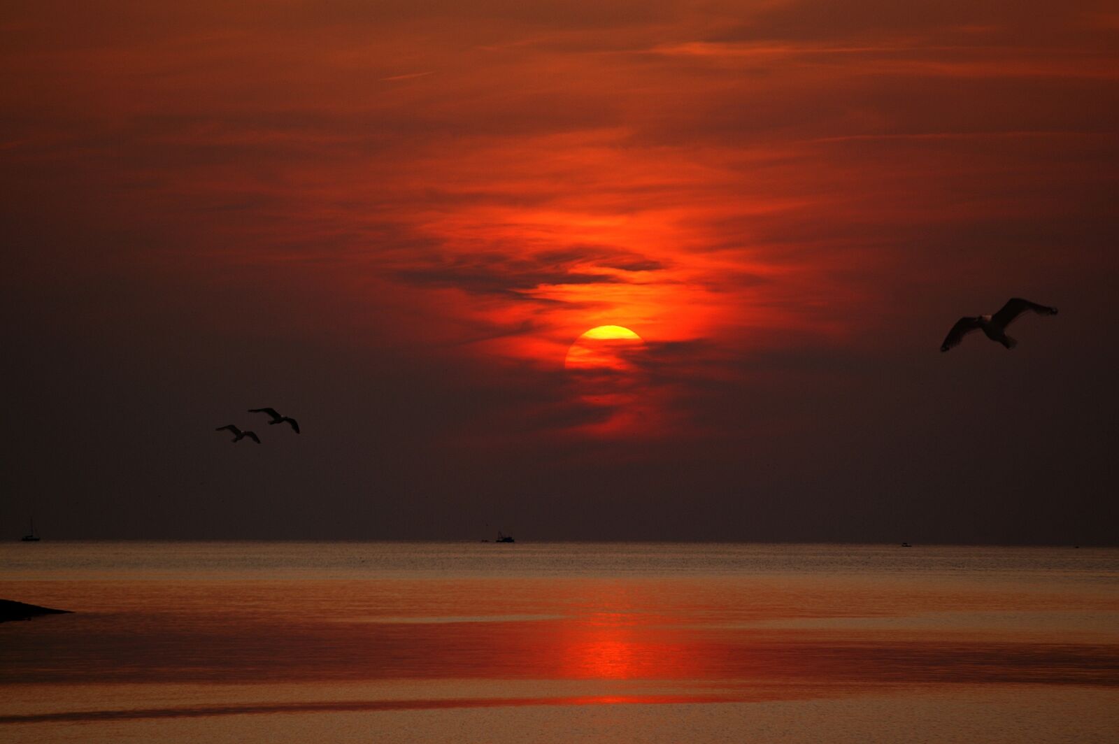 KONICA MINOLTA DYNAX 7D sample photo. Sunset, dusk, dawn photography