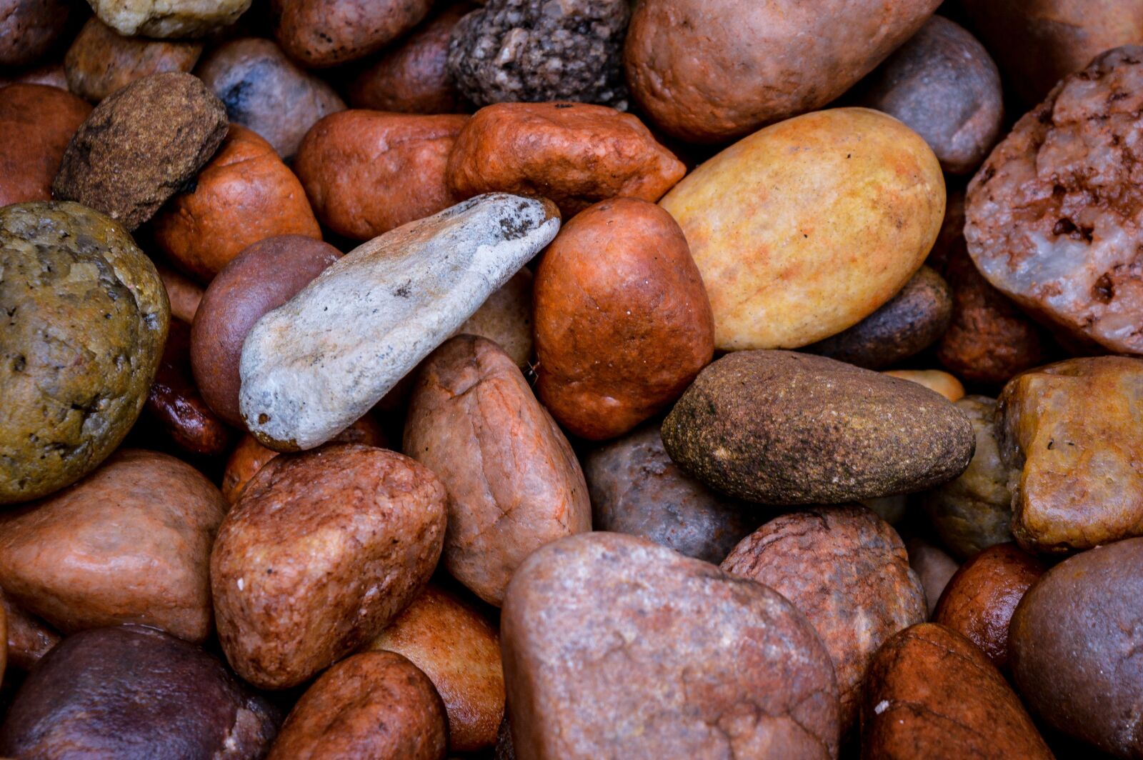 Nikon D3200 sample photo. Stones, garden love, nature photography