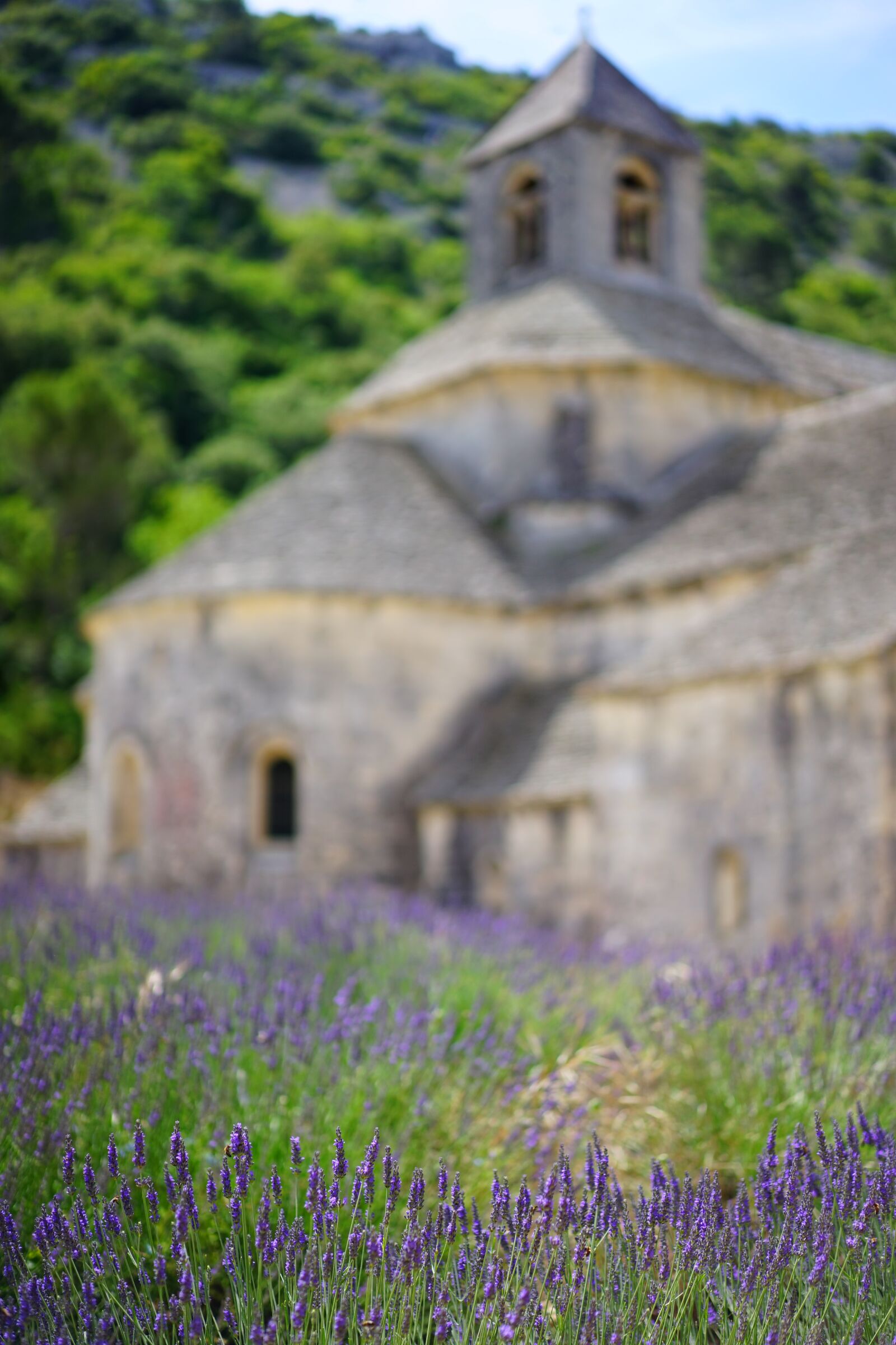 Sony a7 + Sony Sonnar T* FE 55mm F1.8 ZA sample photo. Abbaye de s nanque photography