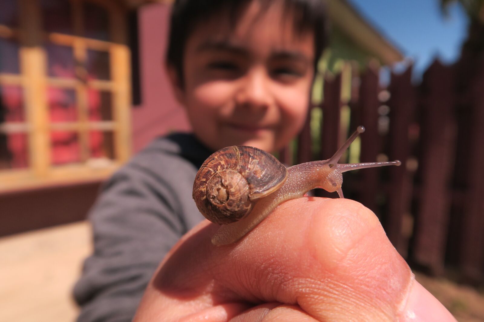 Canon PowerShot G7 X sample photo. Snail, childhood, nature photography