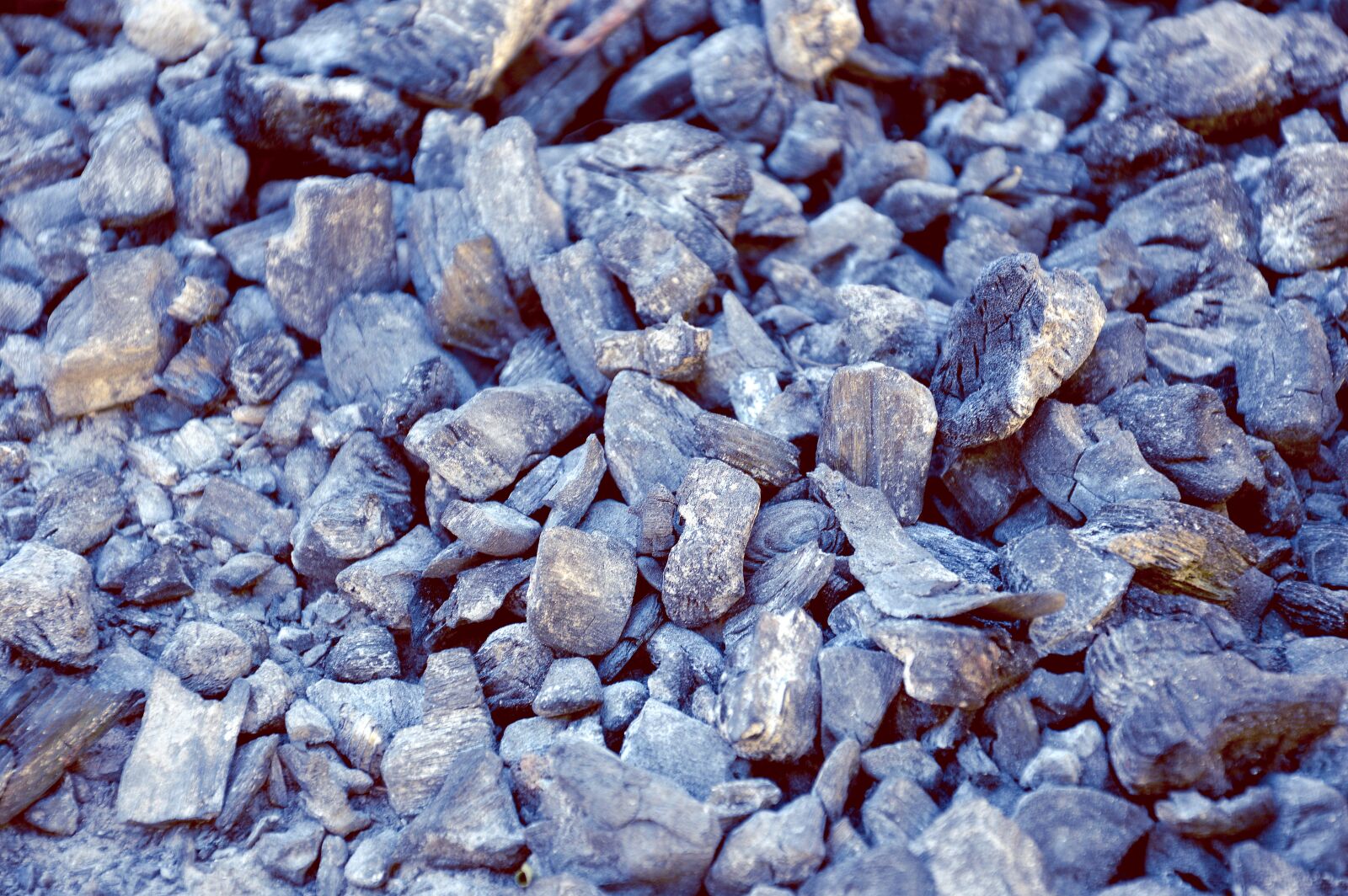Nikon D3200 sample photo. Coal, fire, barbecue photography