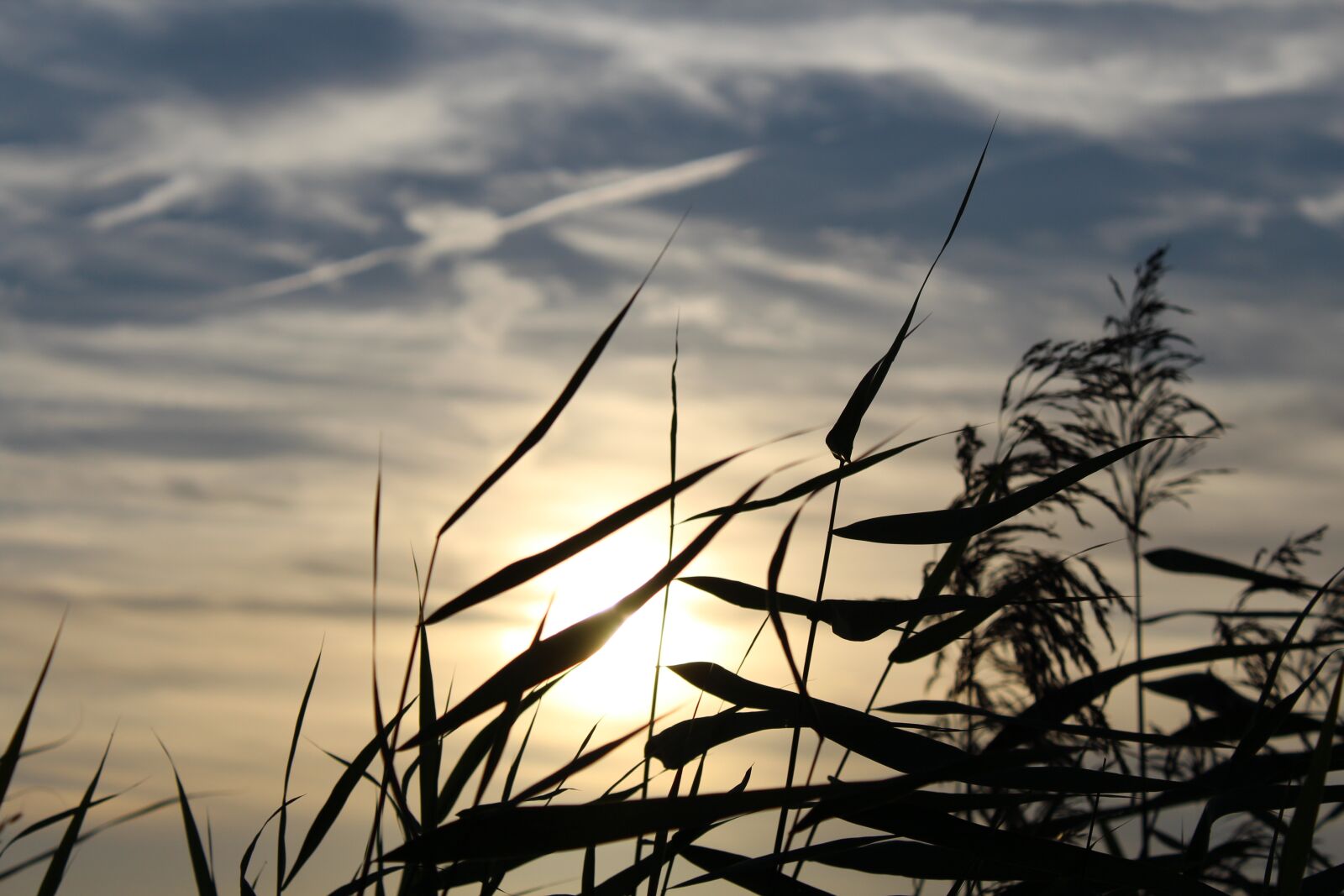 Canon EOS 1200D (EOS Rebel T5 / EOS Kiss X70 / EOS Hi) sample photo. Sunset, abendstimmung, clouds photography