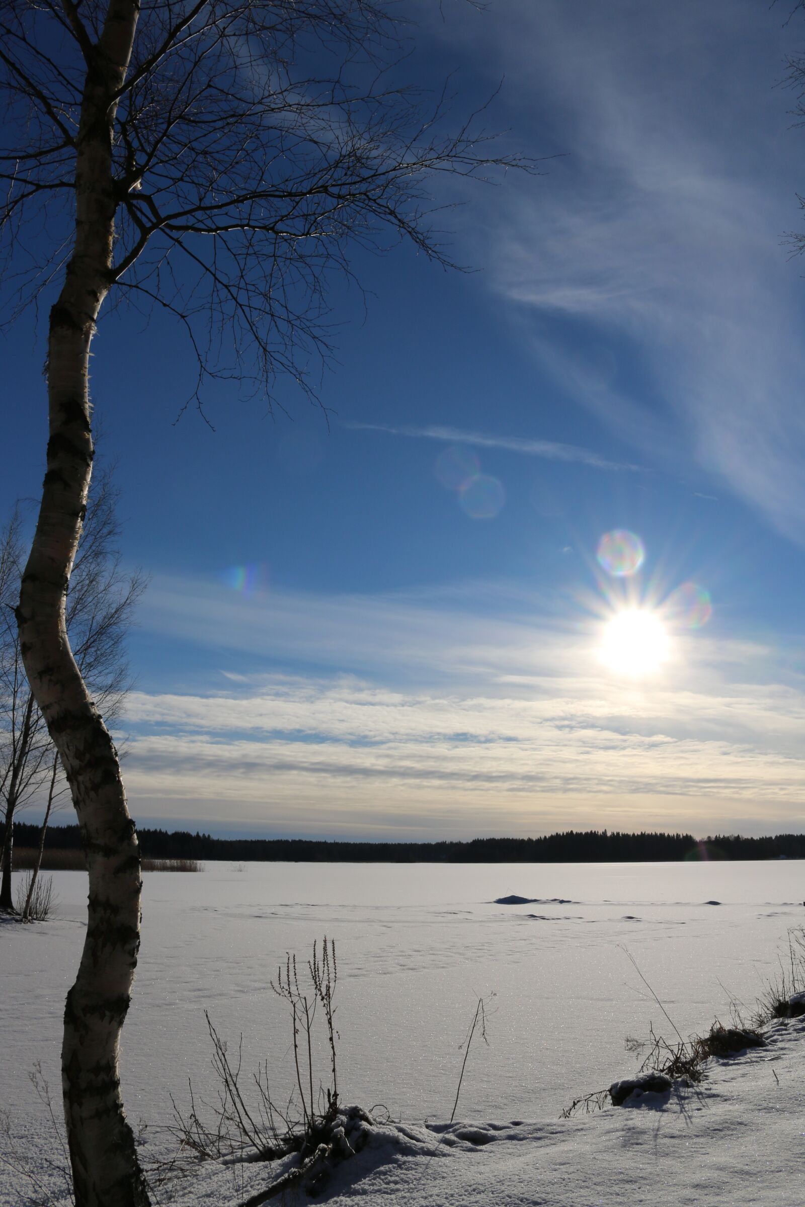 Canon EOS 70D sample photo. Sun, the spring sun photography