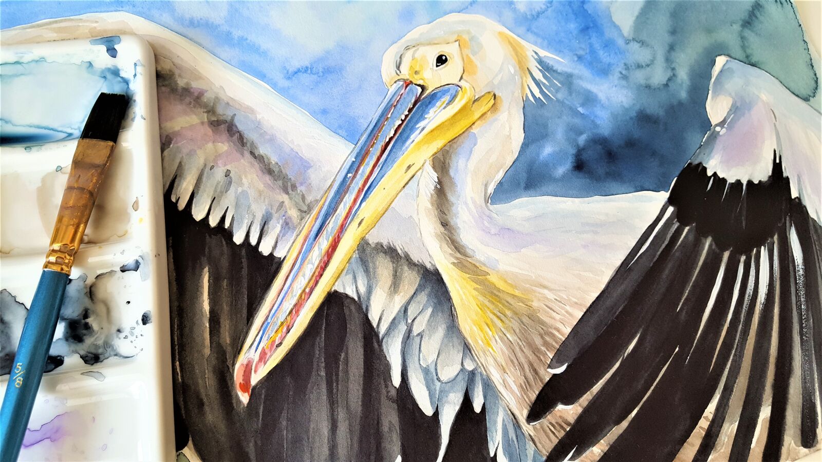 Samsung Galaxy S6 sample photo. Pelican, bird, animal photography