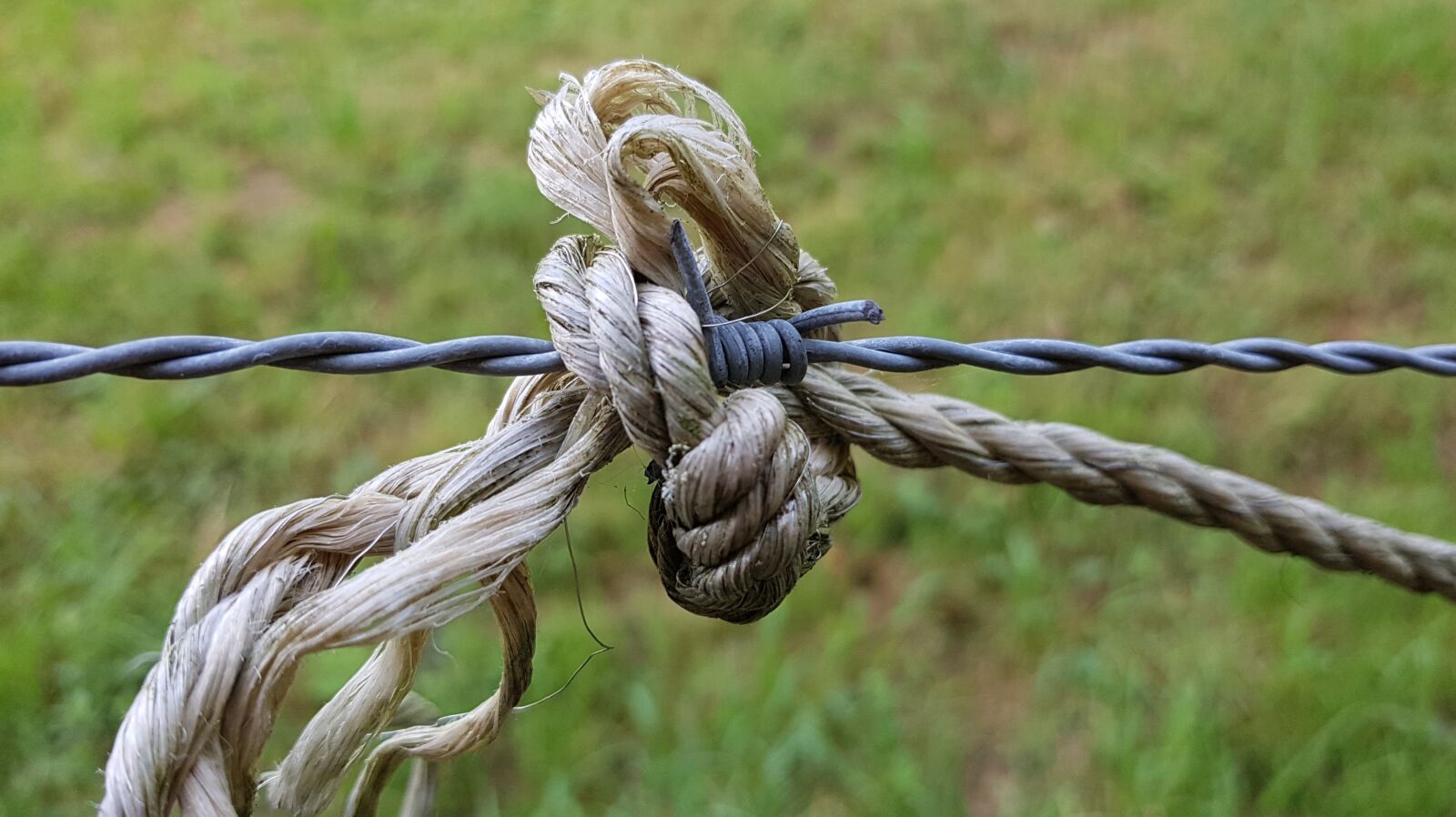 Samsung Galaxy S7 sample photo. Barbed wire, fence, barrier photography