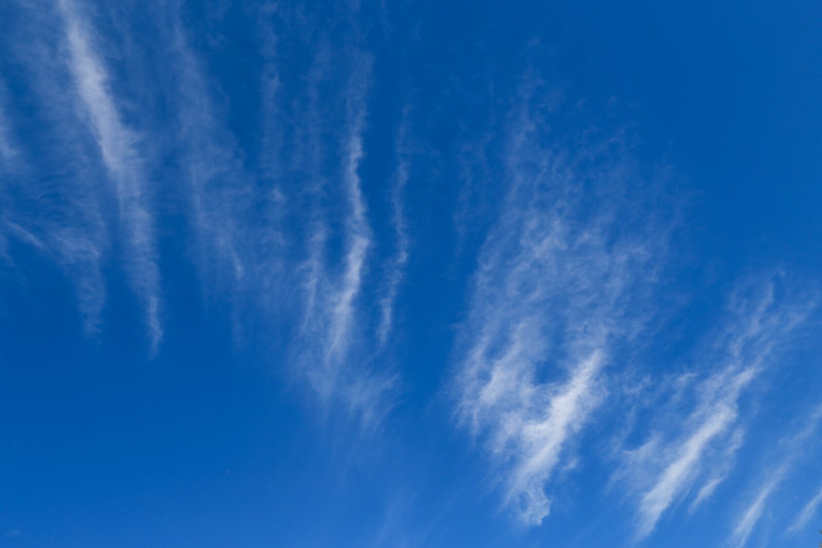 Canon EOS 6D + Canon EF 24-105mm F4L IS USM sample photo. Sky, nature photography