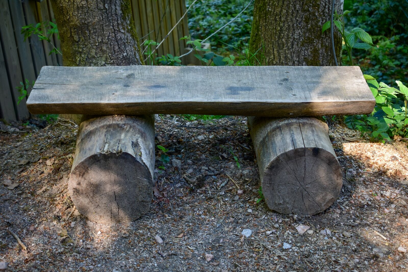 Nikon D3400 sample photo. Bench, tree, handcrafted photography