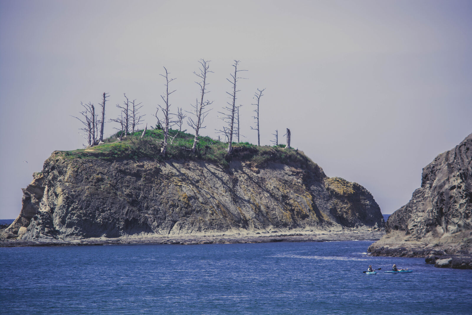 Nikon D5200 sample photo
