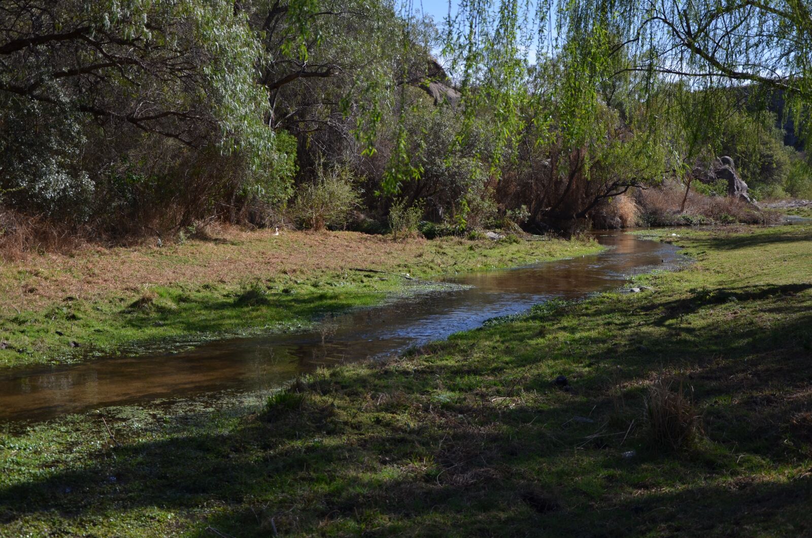 Nikon D7000 sample photo. Nature, mountain, scenic photography