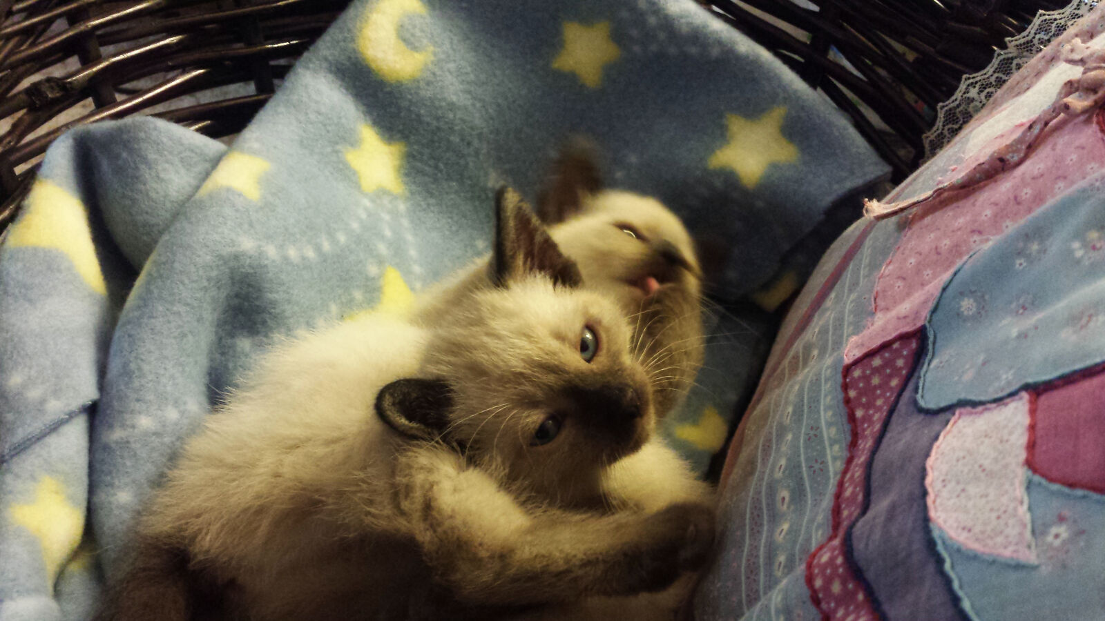 Samsung Galaxy S4 sample photo