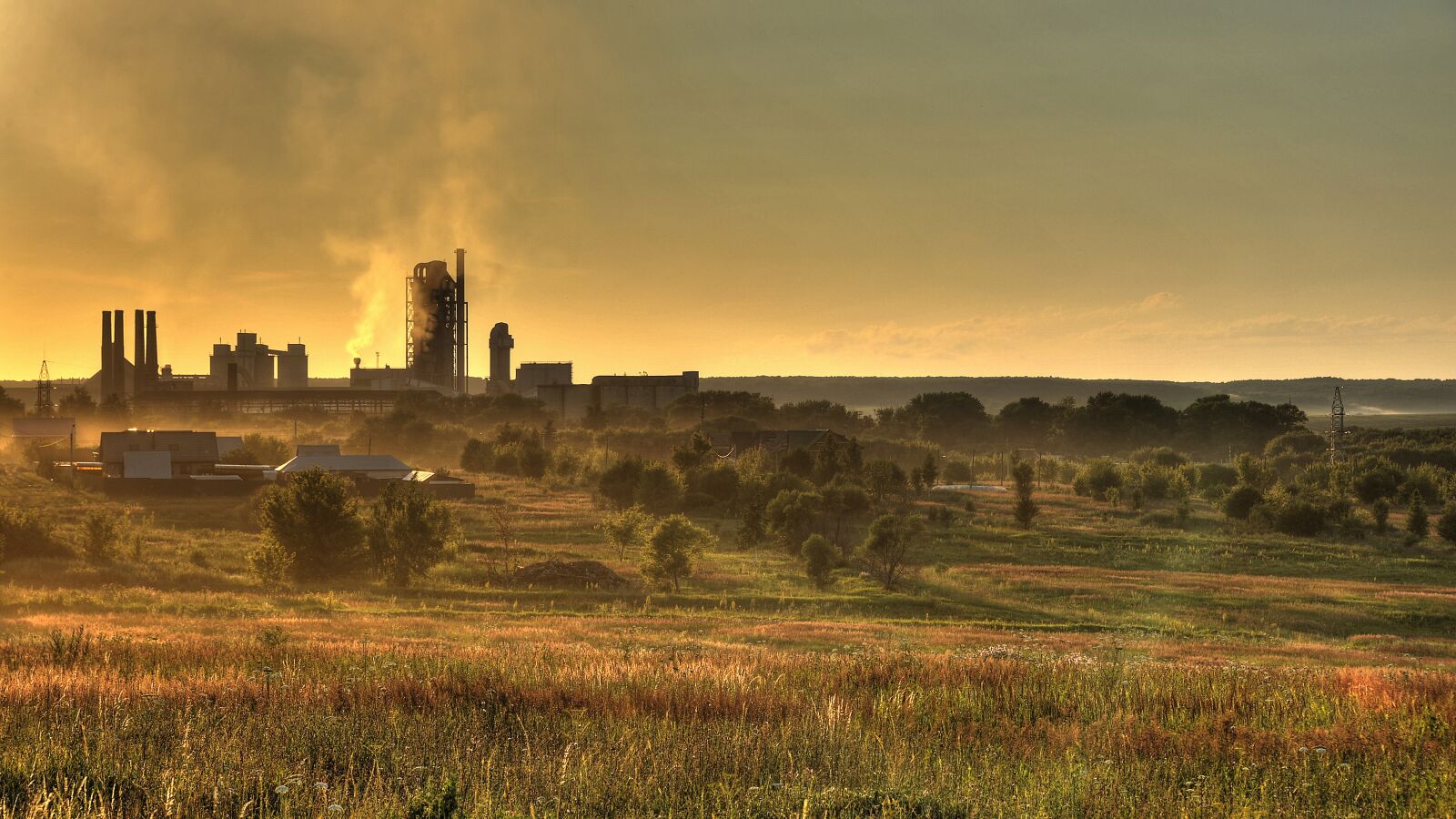 Nikon D700 sample photo. Plant, village, sunset photography