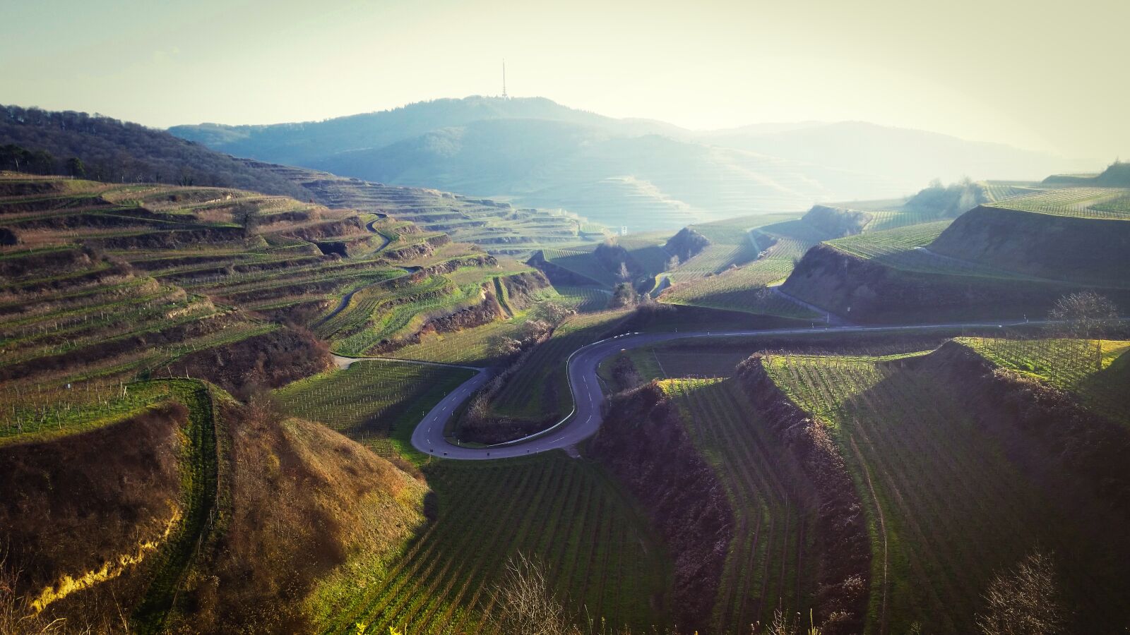 Samsung Galaxy S5 sample photo. Kaiserstuhl, vineyard, landscape photography
