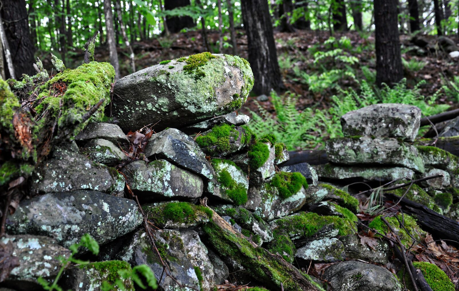 Nikon D90 sample photo. Stone wall, stones, wall photography