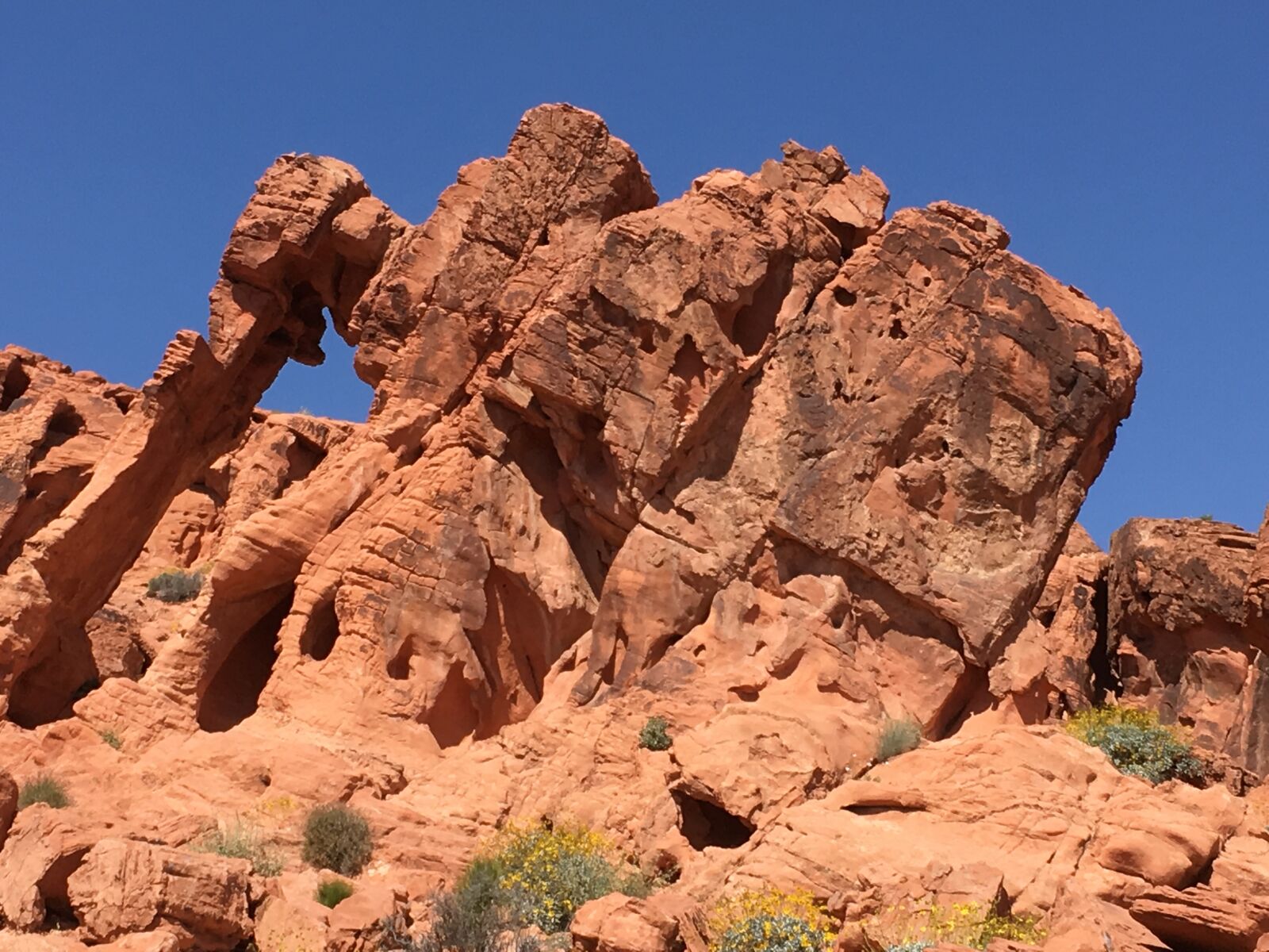 iPhone SE back camera 4.15mm f/2.2 sample photo. Rock, desert, elephant rock photography