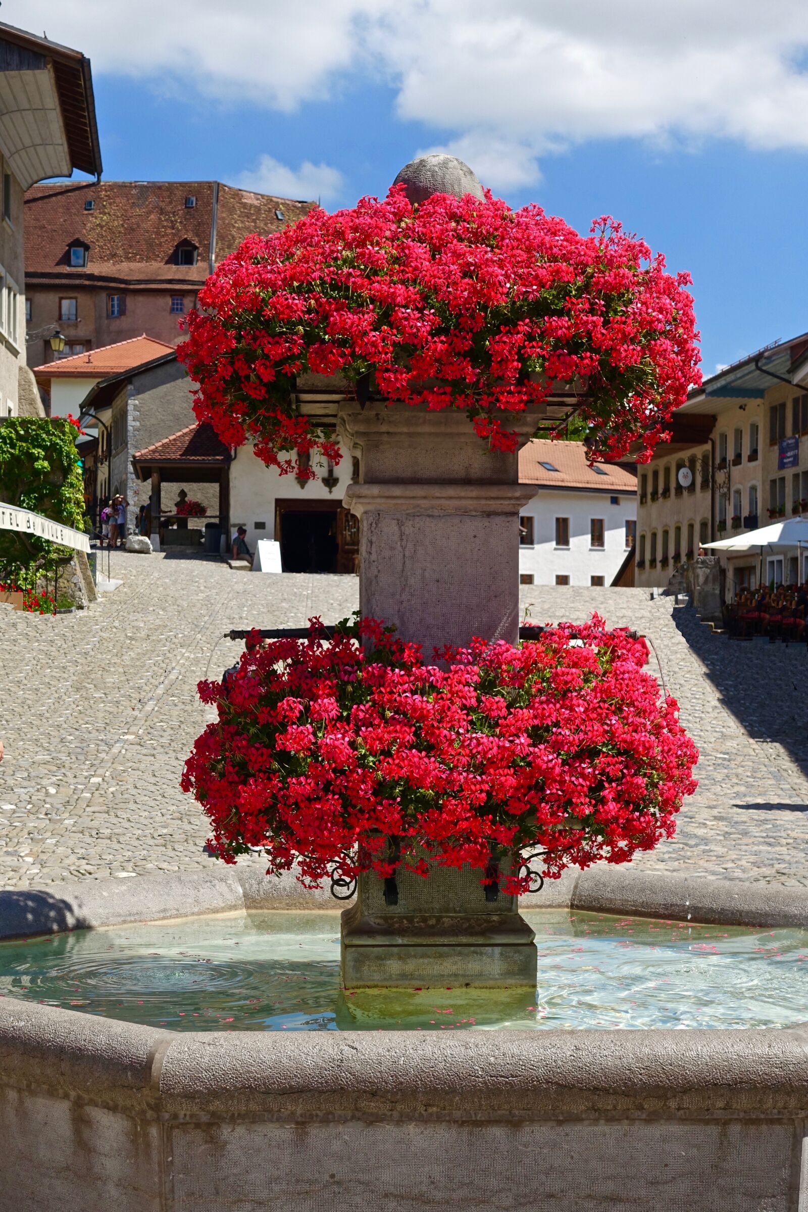 Sony Cyber-shot DSC-RX100 III sample photo. Bloom, flowers, fountain photography