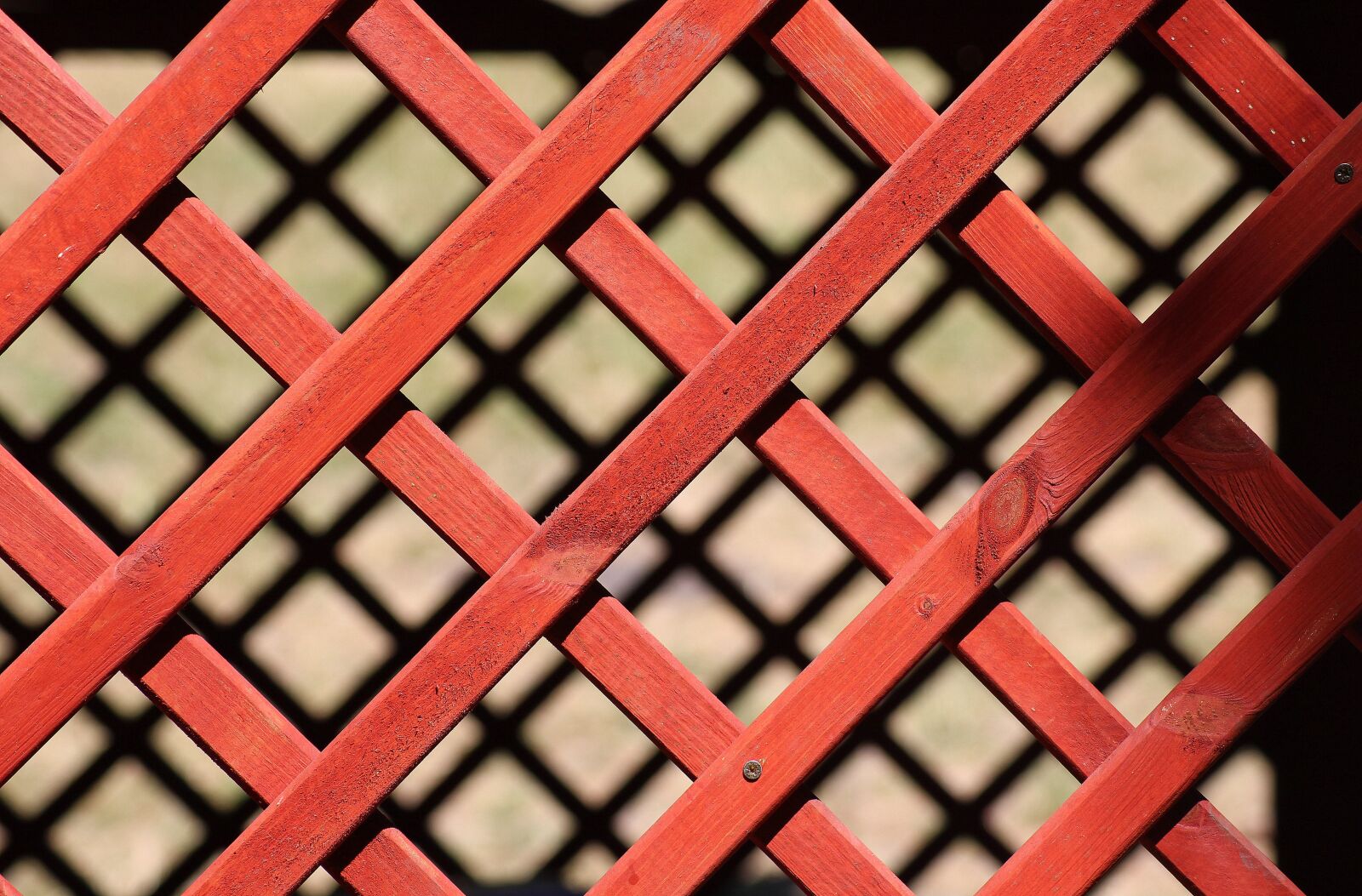 Canon EOS 1200D (EOS Rebel T5 / EOS Kiss X70 / EOS Hi) sample photo. Bower, trellis, openwork photography