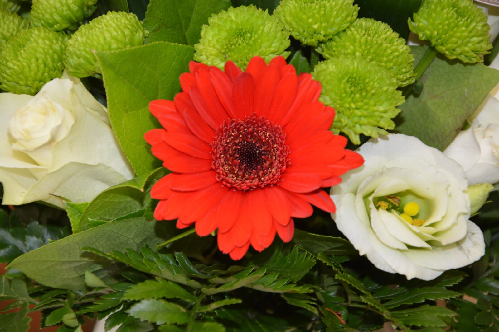Nikon D5200 sample photo. Flower, plant, floral composition photography