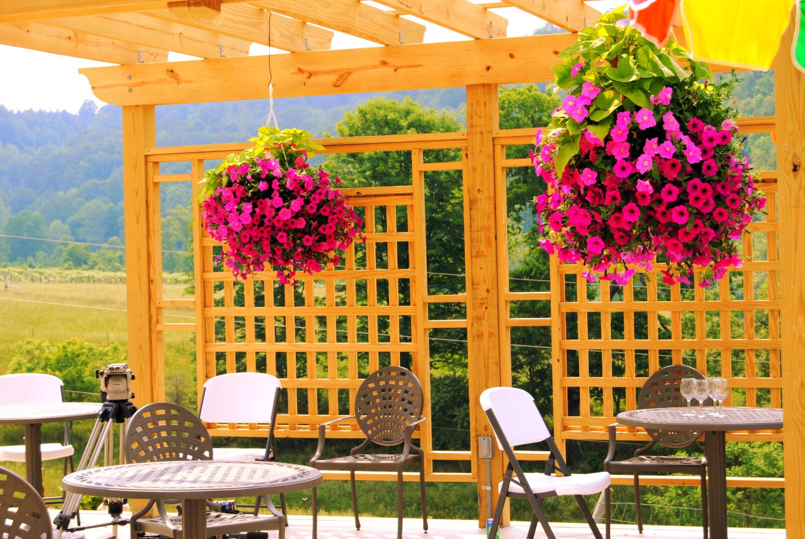 Nikon D3000 sample photo. Winery, nature, vineyard photography