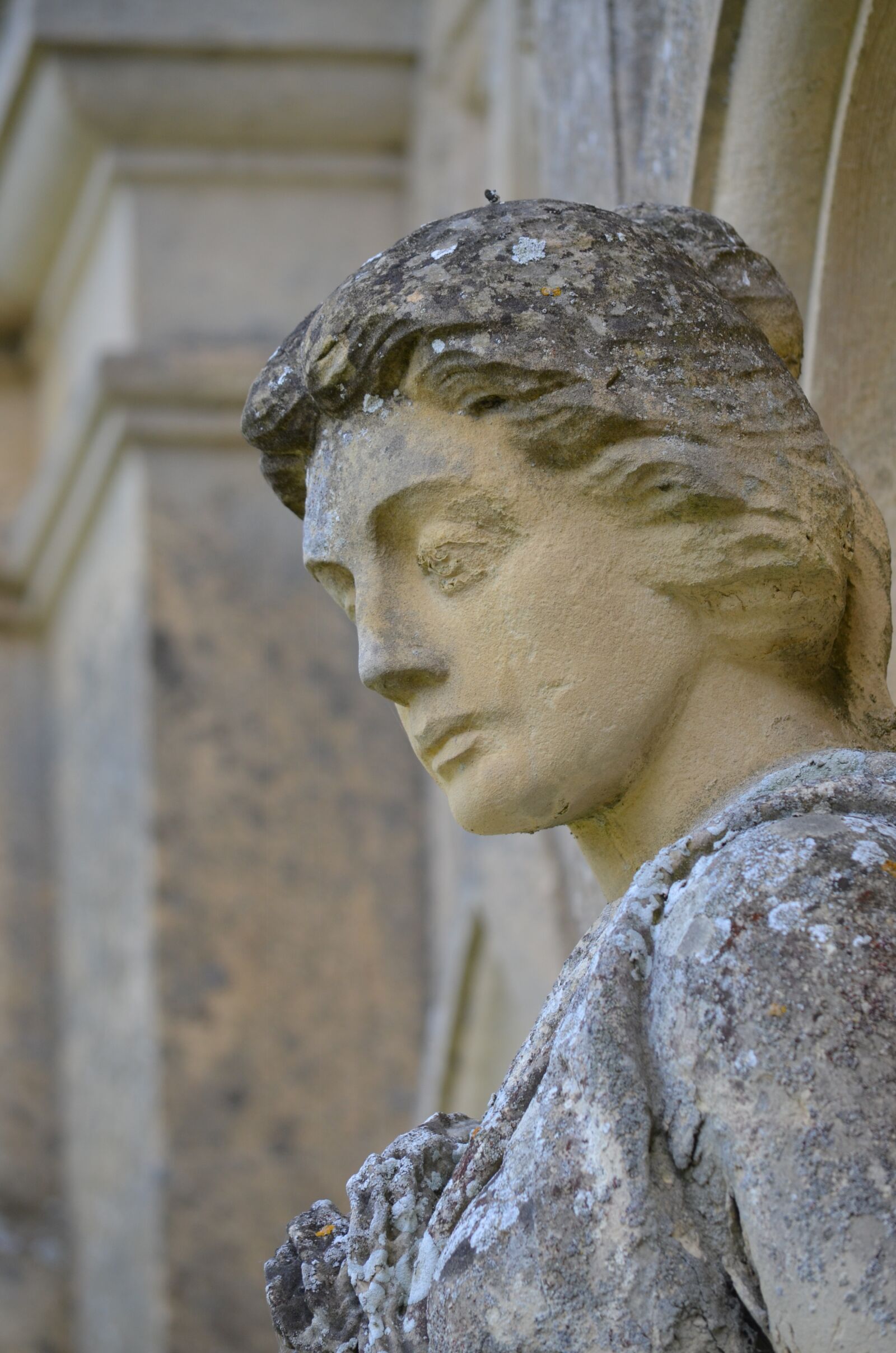 Nikon D5100 sample photo. Medieval, statue, france photography