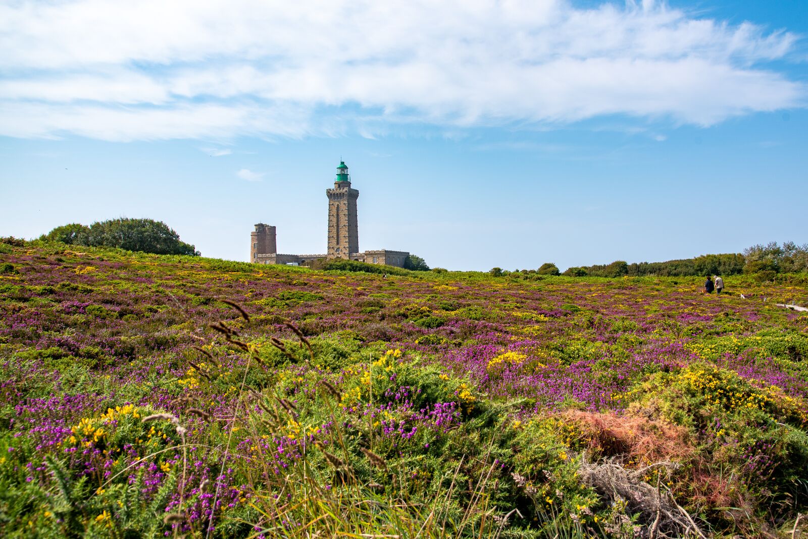 Nikon D750 sample photo. France, brittany, cap fr photography