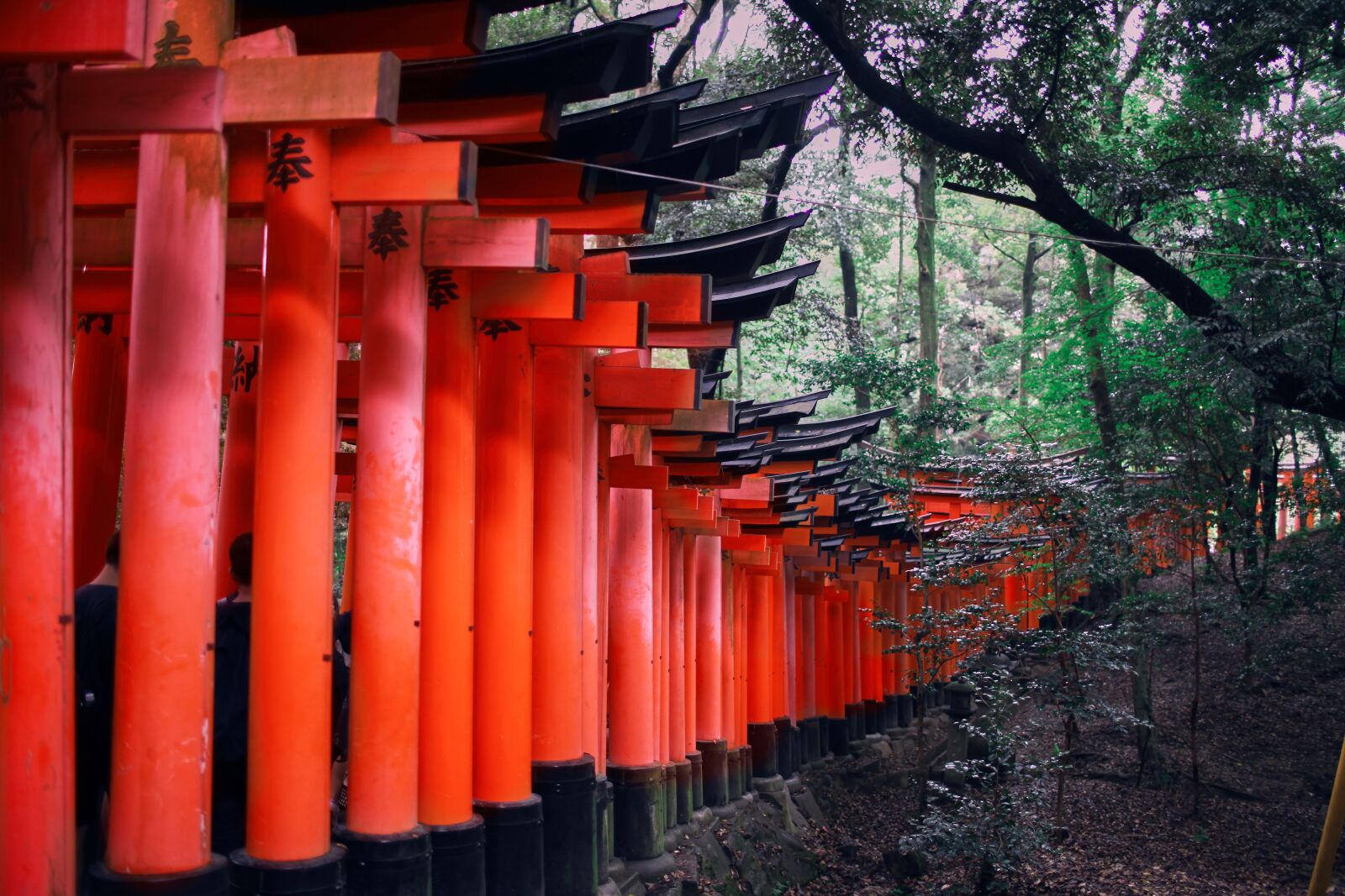 Canon EOS 5D Mark II sample photo. Japan, religion, temple photography