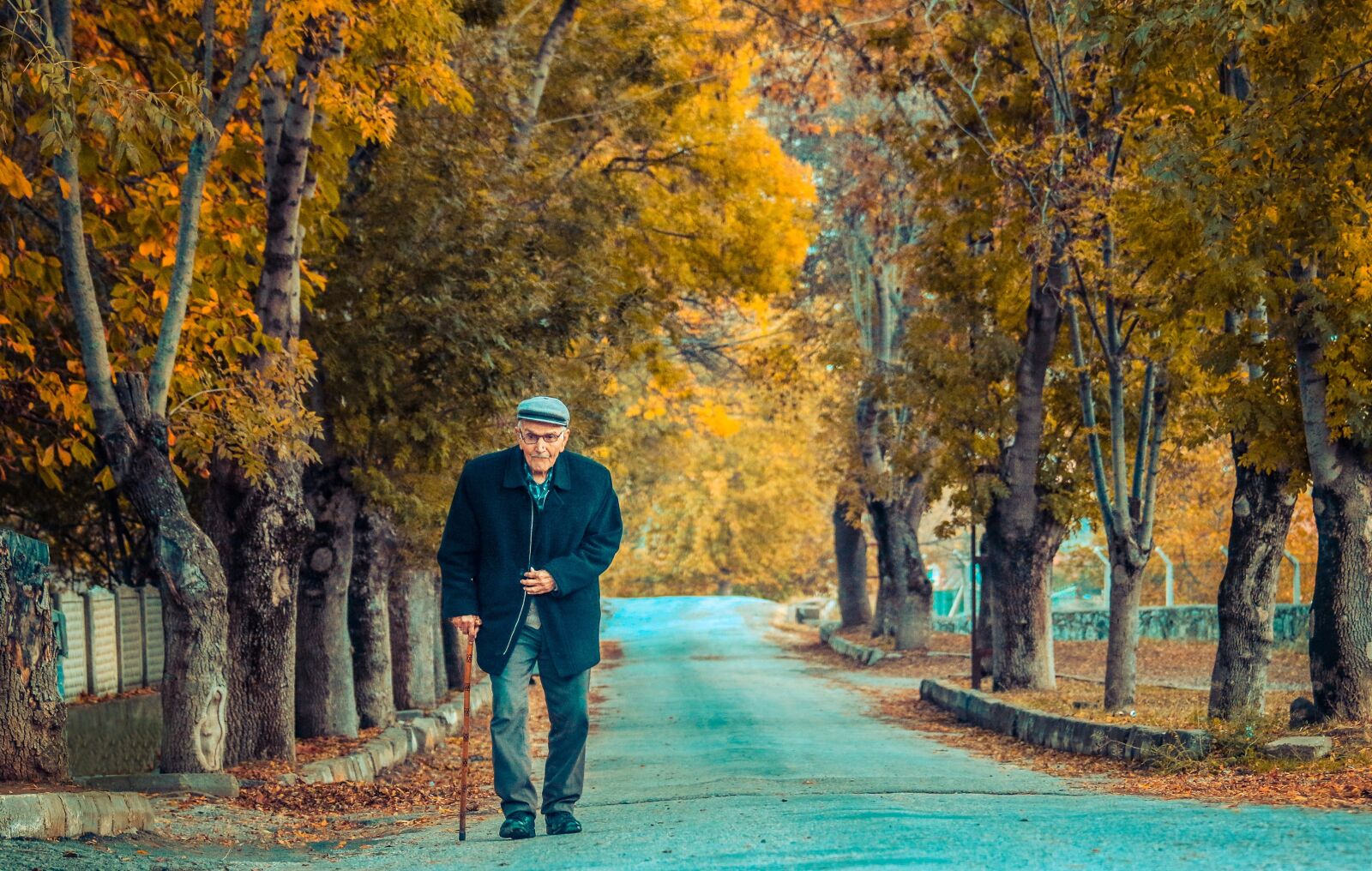 Canon EF 70-200mm F4L IS USM sample photo. Autumn, yellowing leaves, road photography