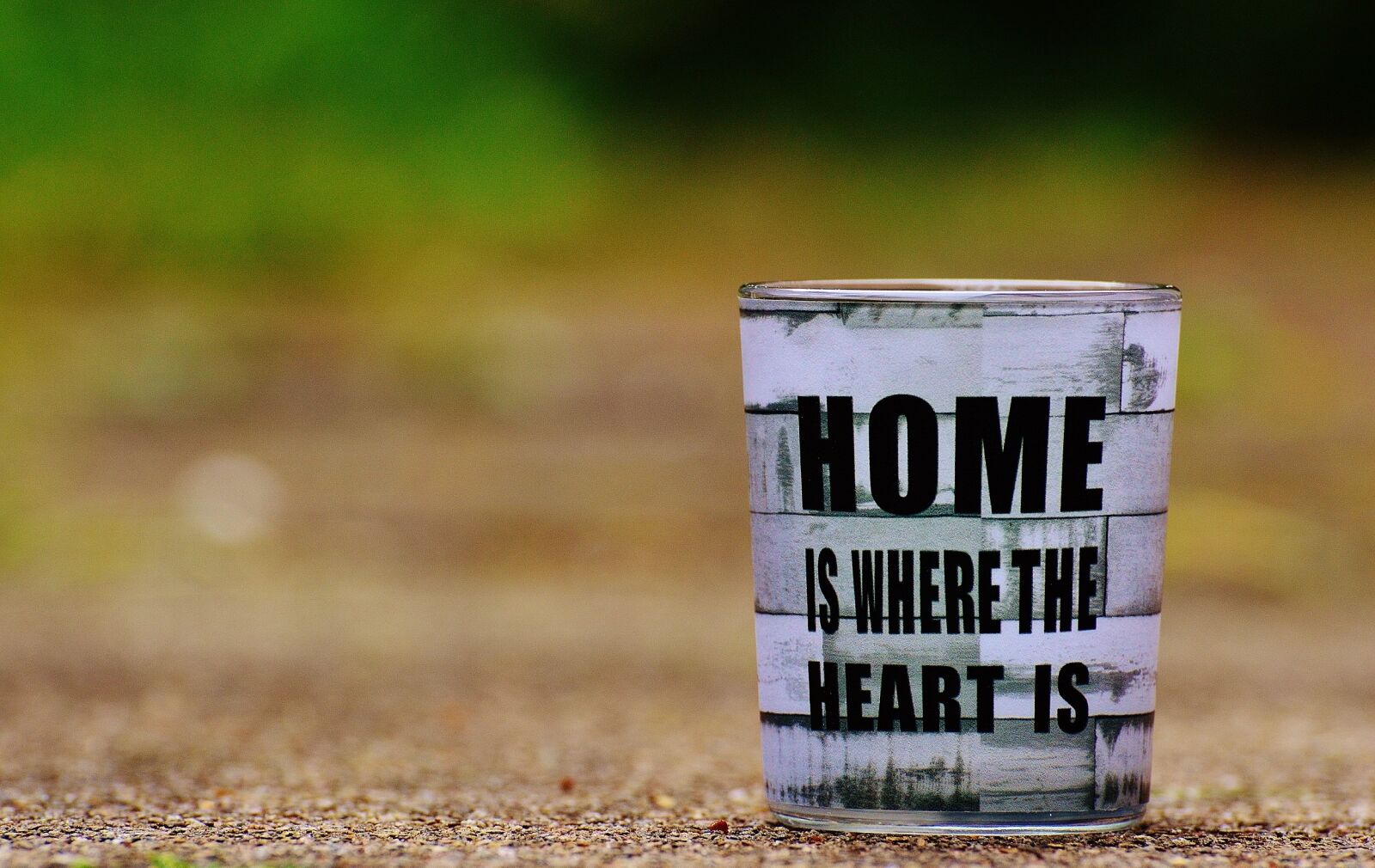 Nikon D3200 sample photo. At home, luck, home photography