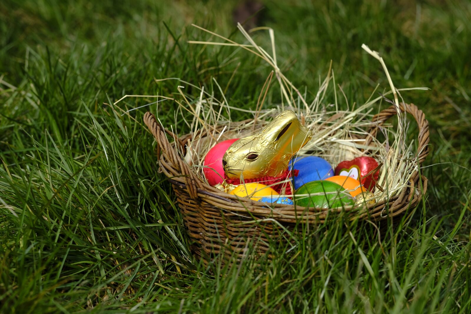 Fujifilm X-T2 + Fujifilm XF 80mm F2.8 R LM OIS WR Macro sample photo. Hare, easter bunny, easter photography