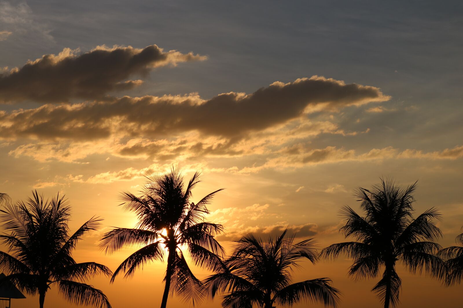 Canon EOS 750D (EOS Rebel T6i / EOS Kiss X8i) + Canon EF-S 55-250mm F4-5.6 IS II sample photo. Palm tree, sunset, beach photography