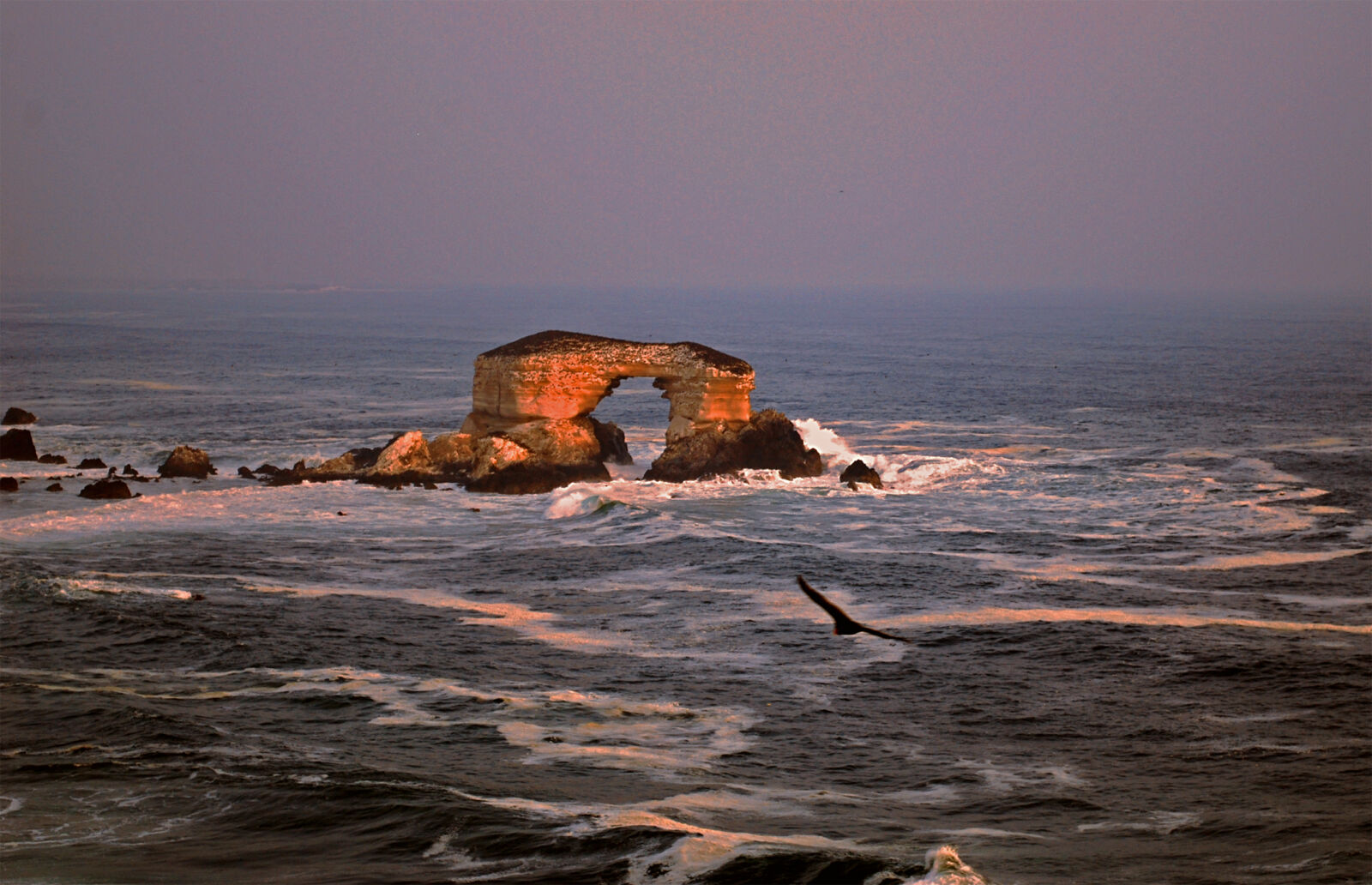 Nikon D60 sample photo. Antofagasta photography