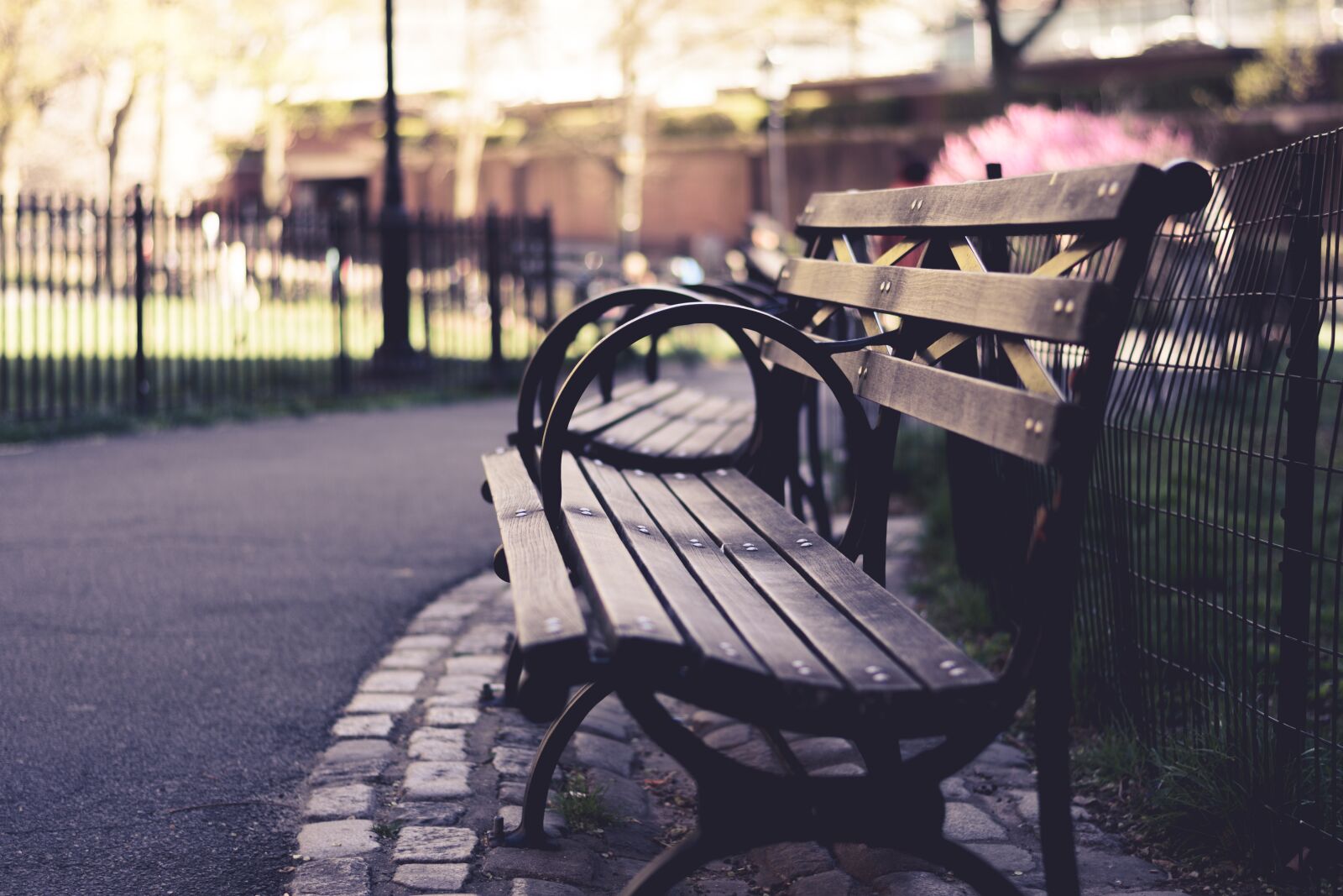 Nikon D7200 sample photo. Benches, outdoors, park photography