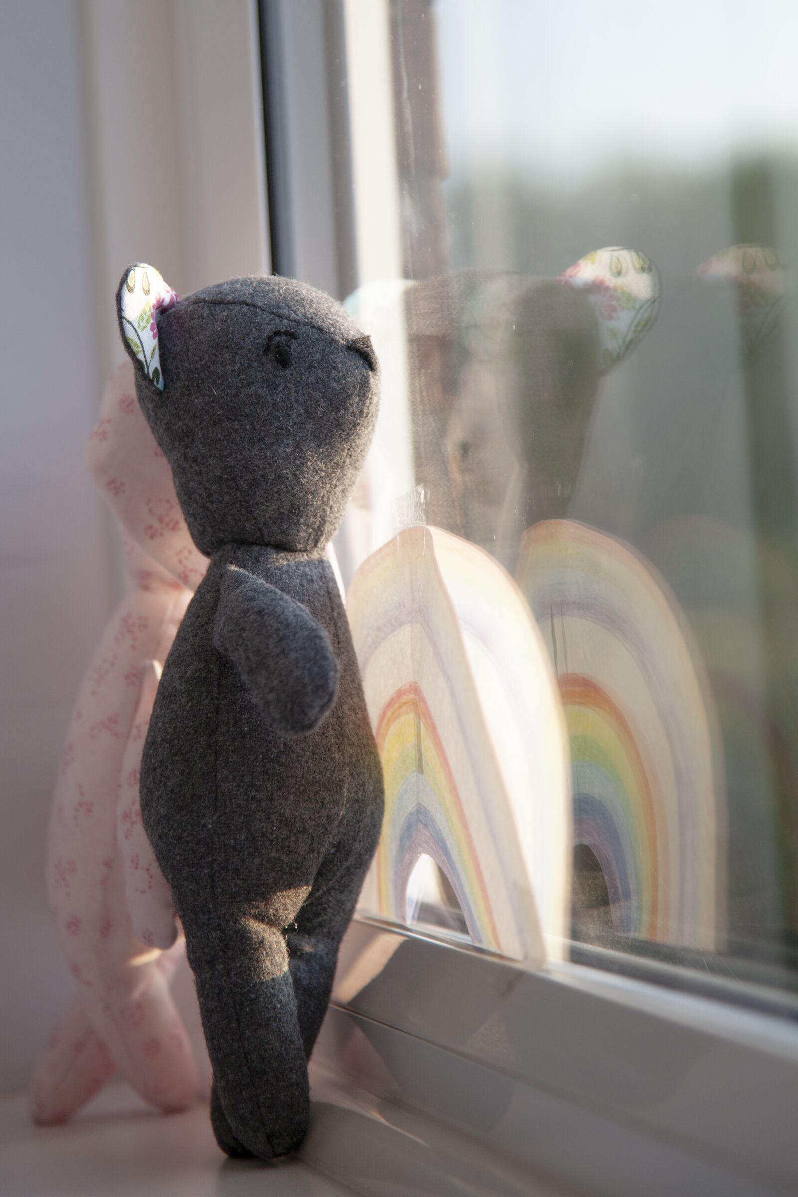 Canon EOS 5D Mark II sample photo. Teddy, rainbow, window photography