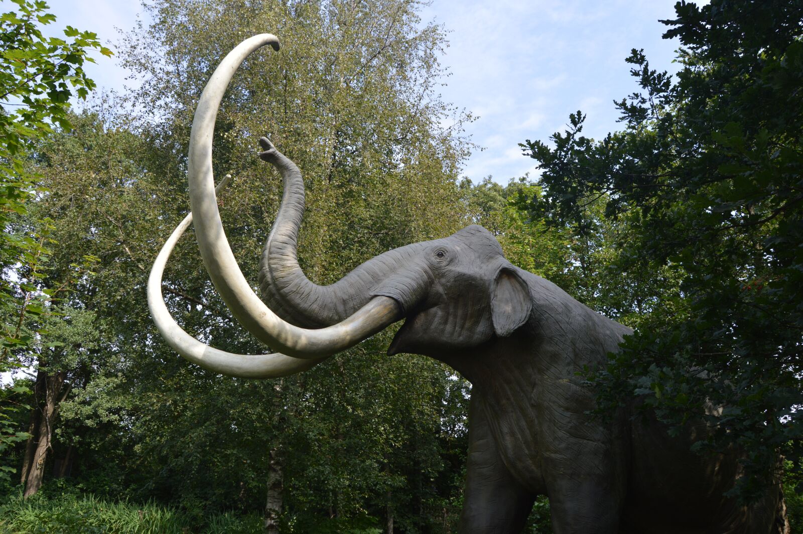 Nikon D3200 sample photo. Mammoth, amusement park tolk photography