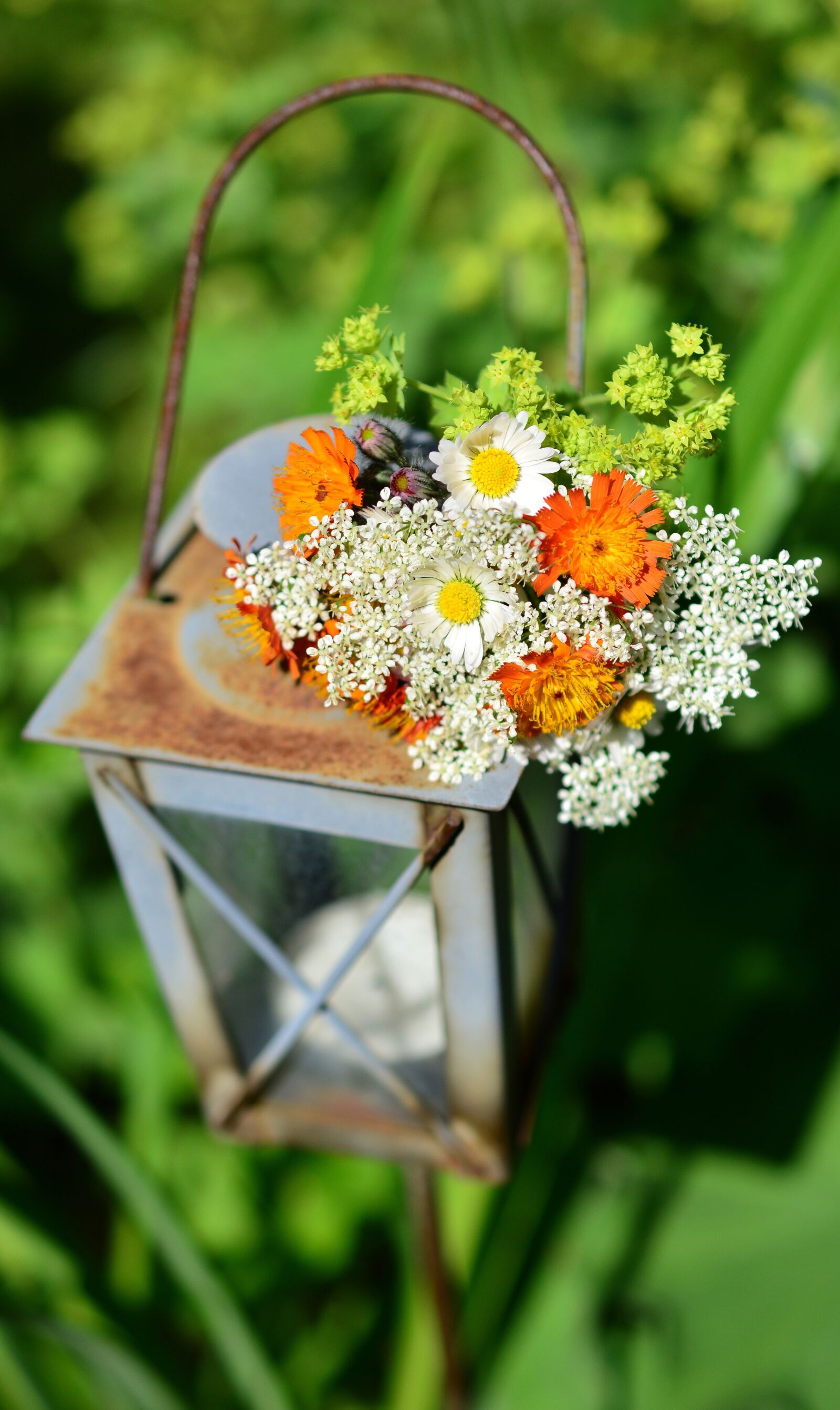 Nikon D5200 sample photo. Wildflowers, wild flowers, bouquet photography