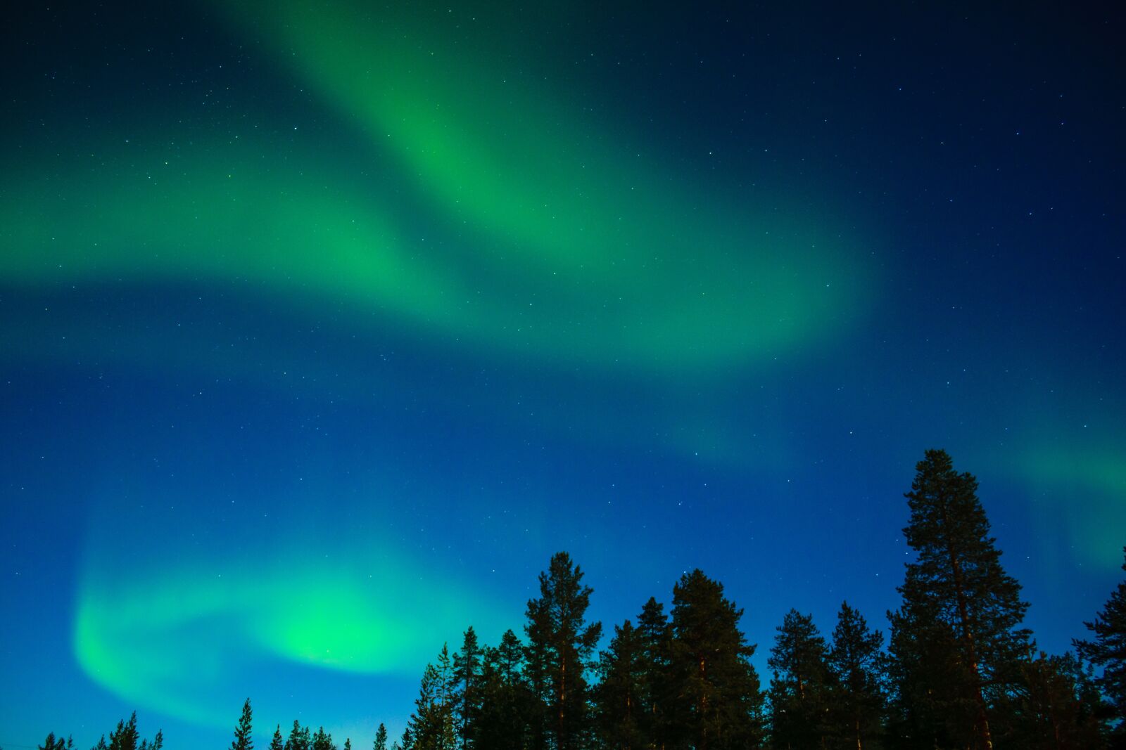 Nikon D5300 sample photo. Northern lights, aurora borealis photography
