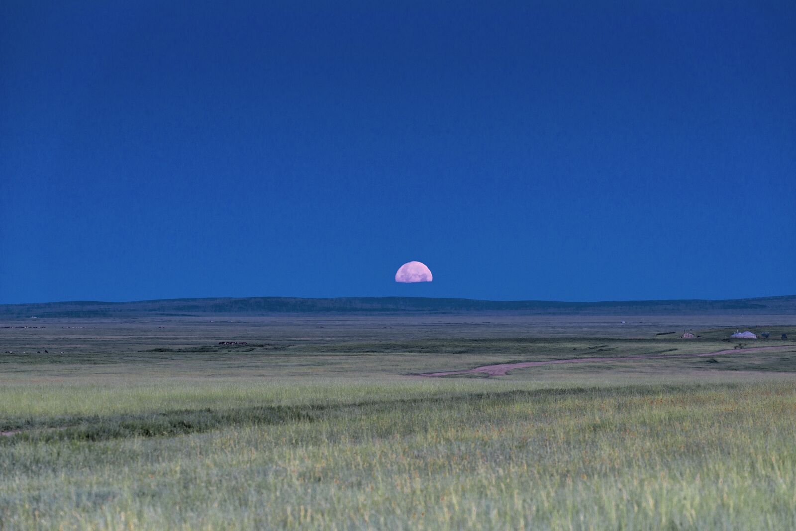 Nikon D800E sample photo. Landscape, mongolia, plains photography
