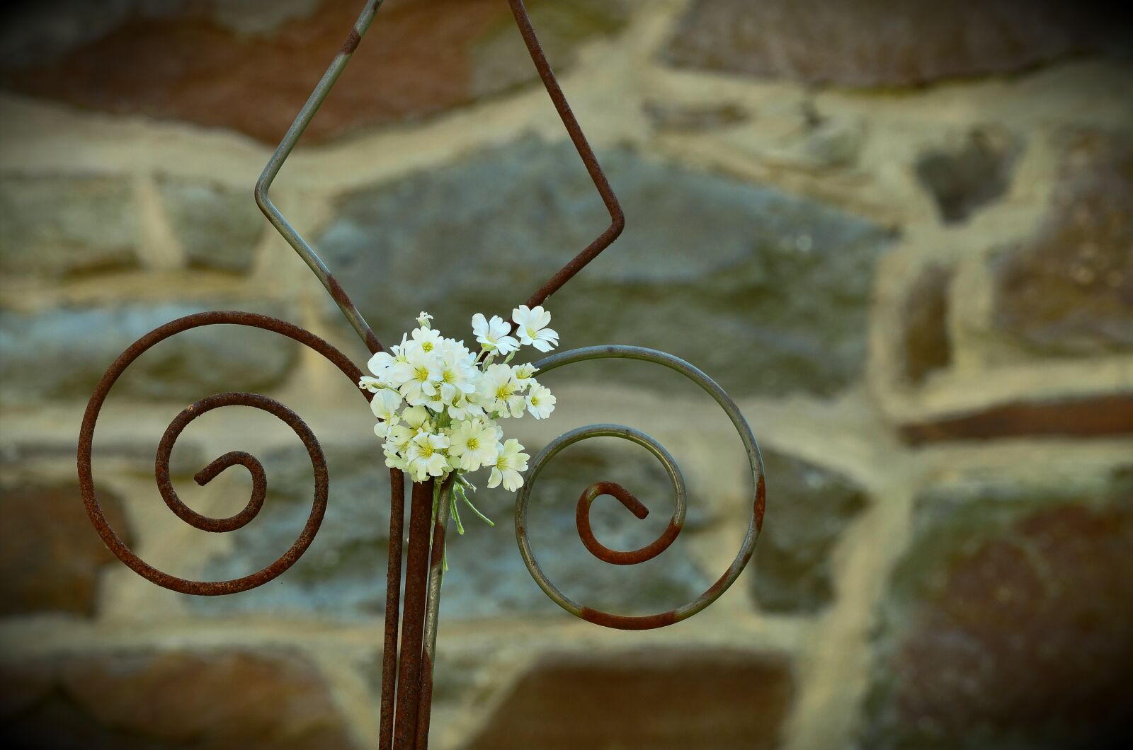 Nikon D5100 sample photo. Iron wall, white floret photography