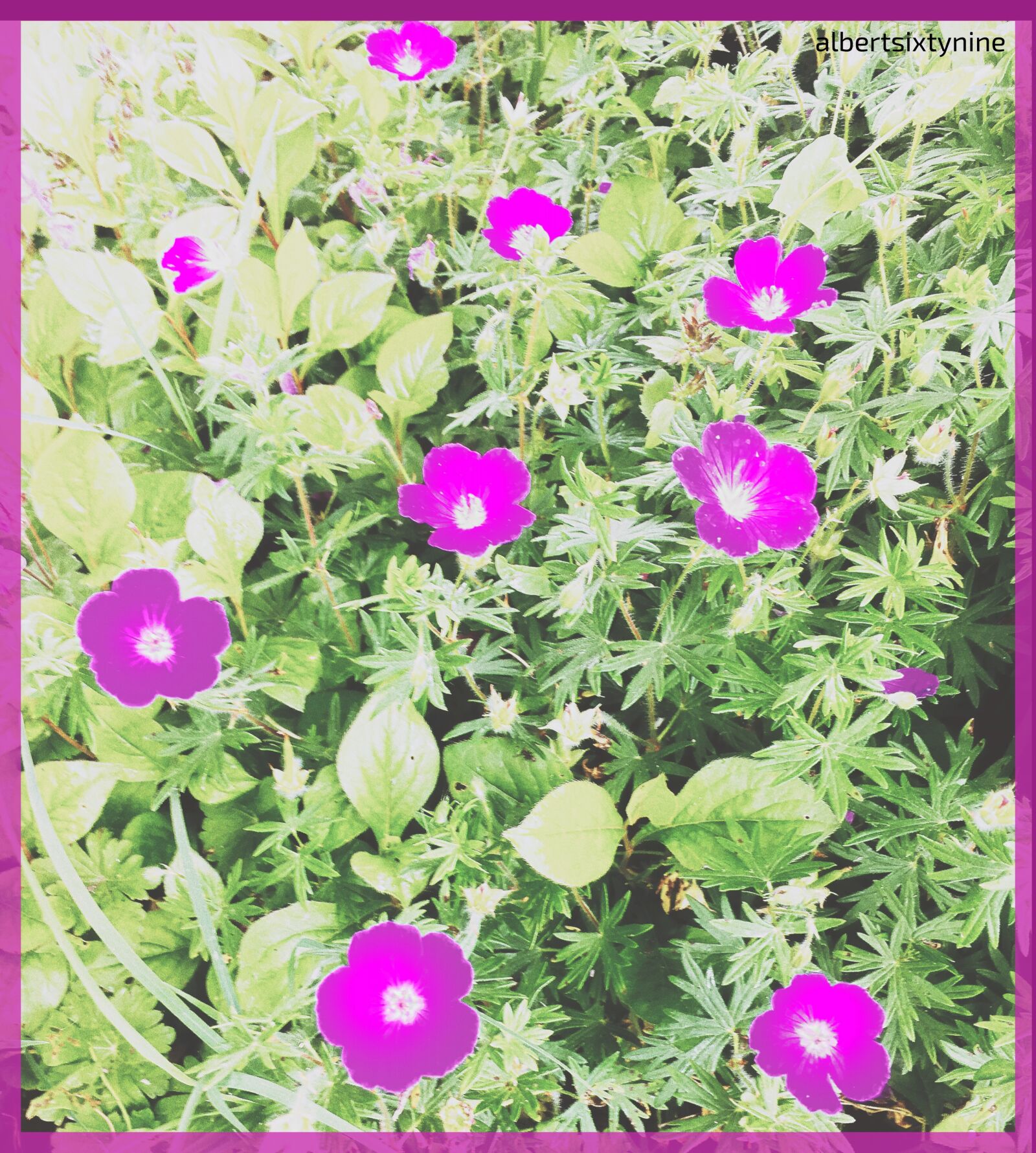 Apple iPhone 6s sample photo. Spiritual, faith, faithful photography