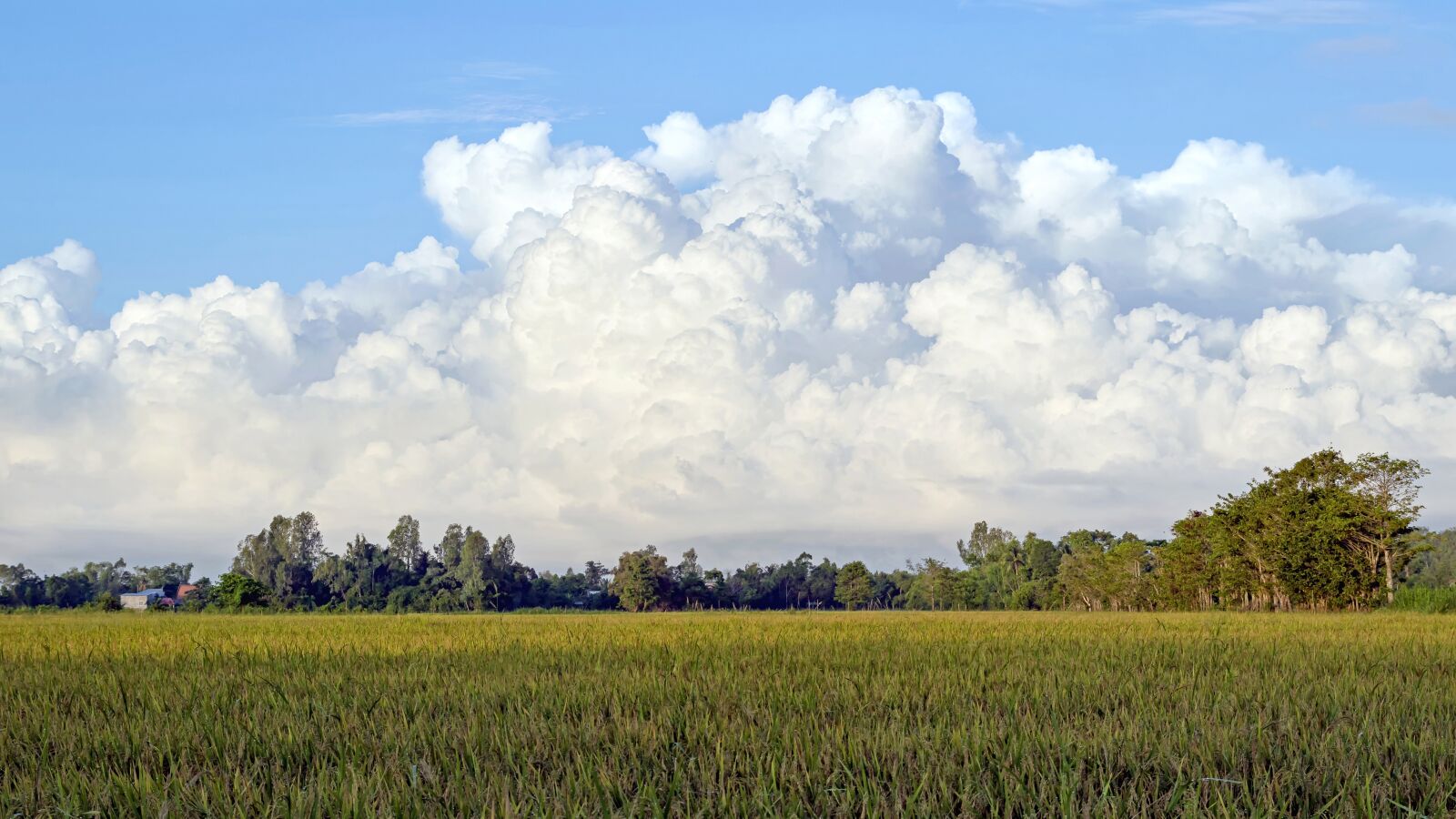 Tamron SP AF 17-50mm F2.8 XR Di II LD Aspherical (IF) sample photo. Clouds, fields, landscapes photography