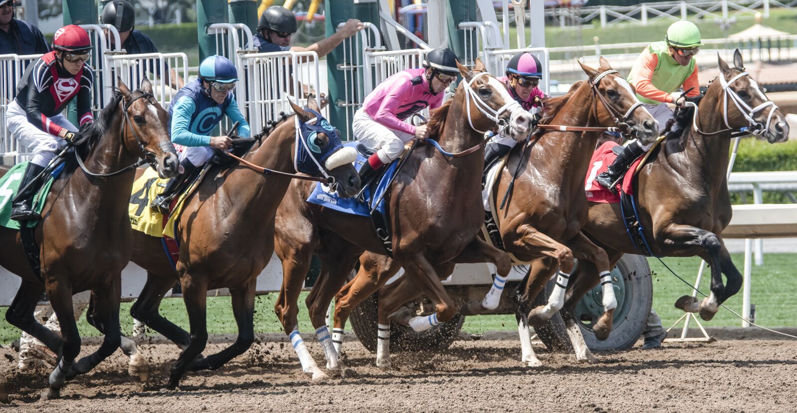 Nikon D850 sample photo. Horse, horse race, race photography